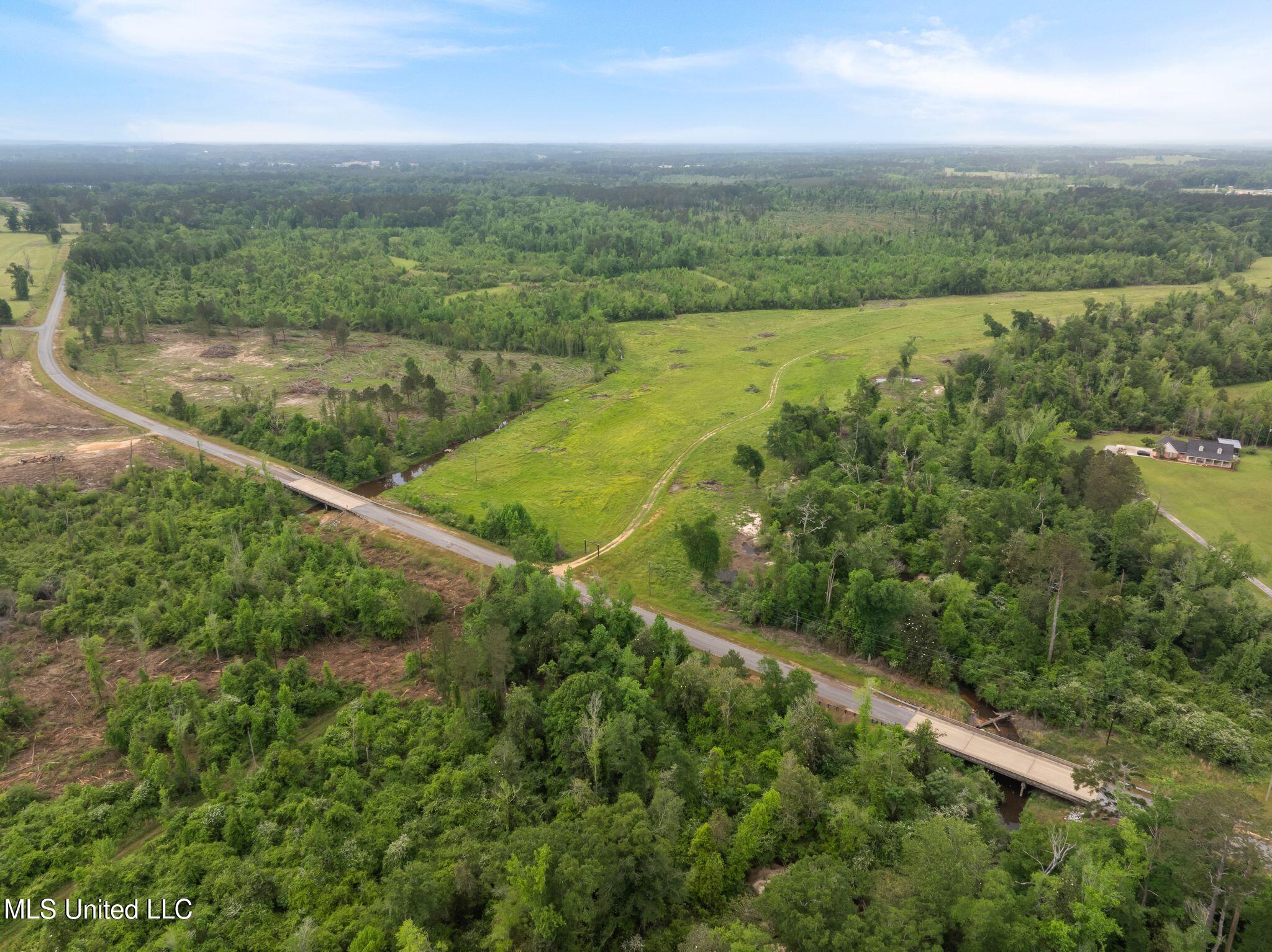 81.64 Acres William Warren Road, Collins, Mississippi image 33