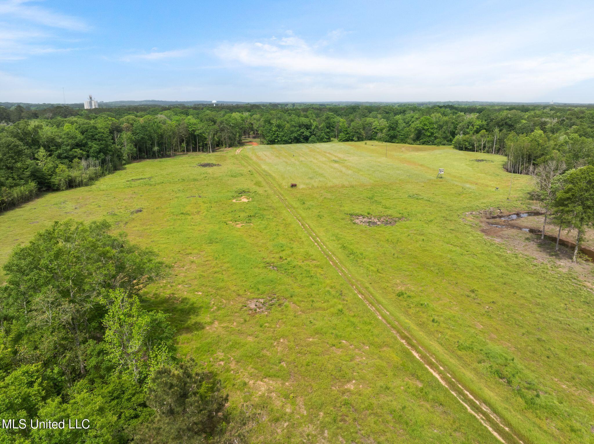 81.64 Acres William Warren Road, Collins, Mississippi image 23