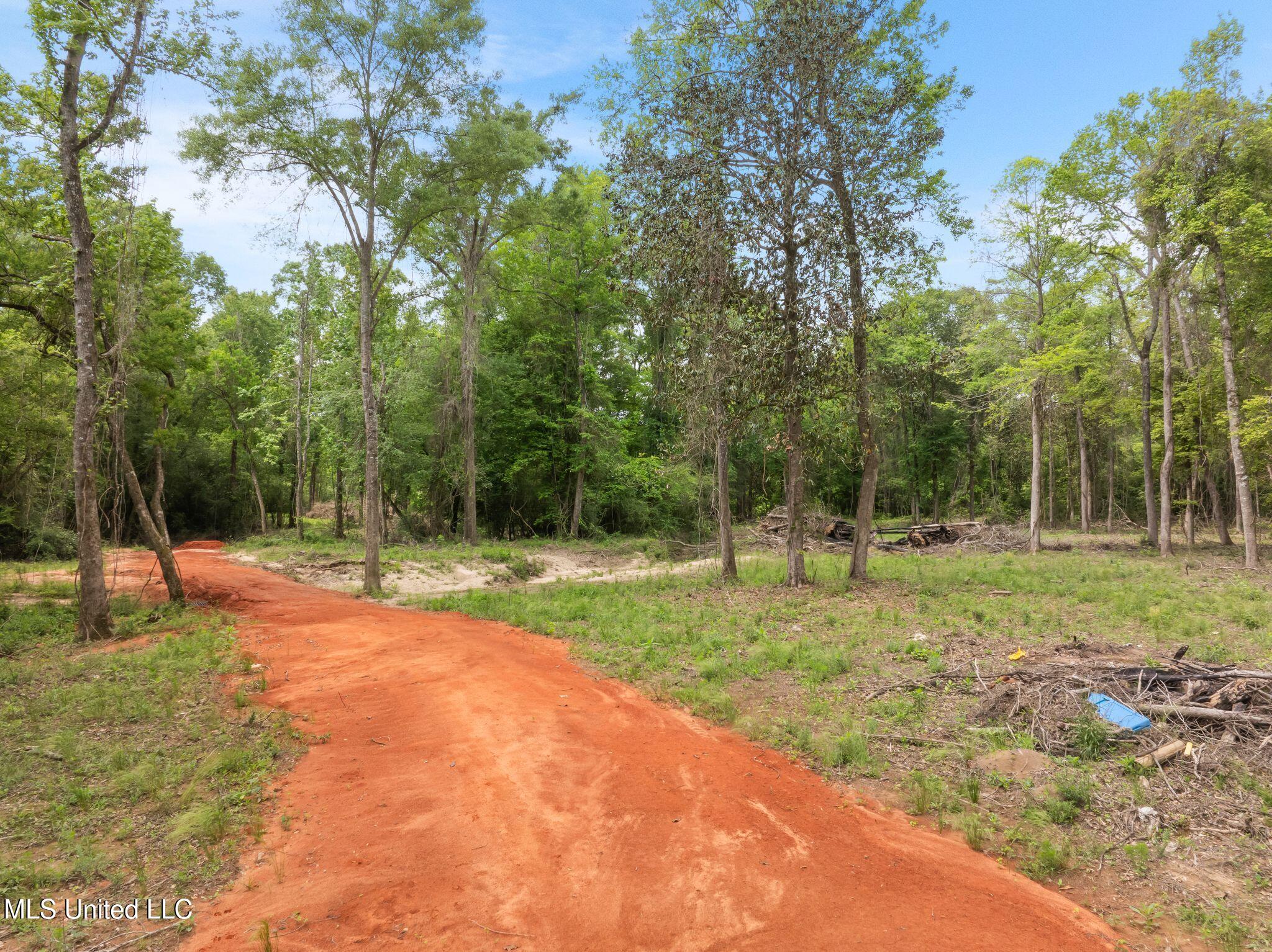 81.64 Acres William Warren Road, Collins, Mississippi image 14