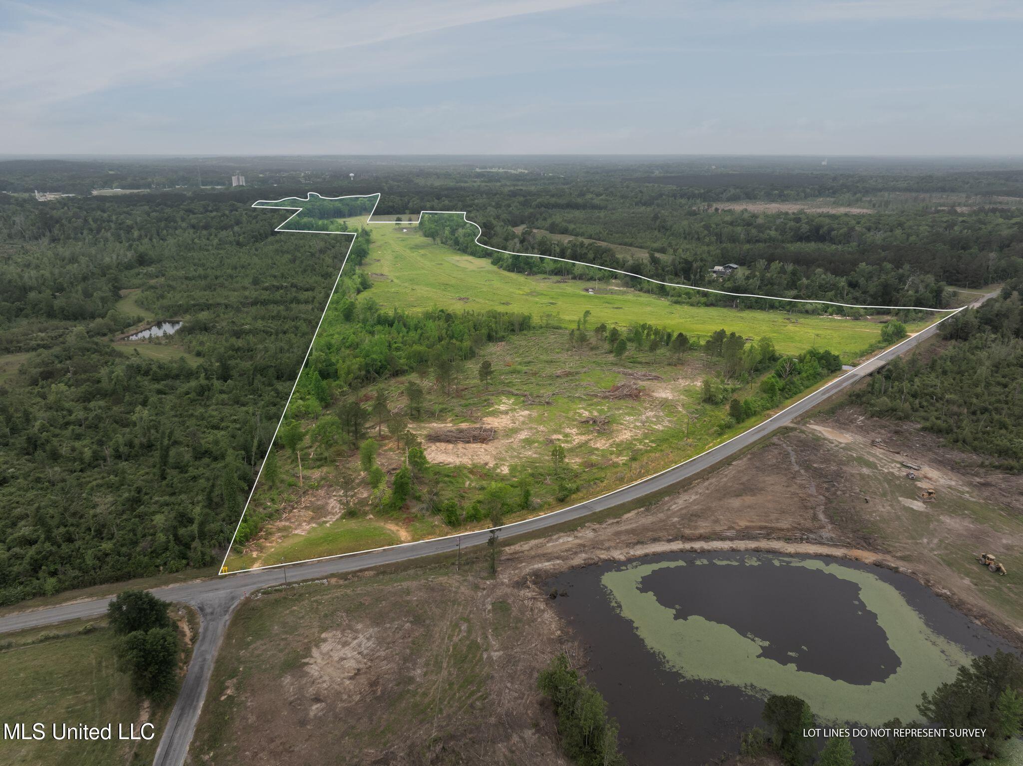 81.64 Acres William Warren Road, Collins, Mississippi image 3