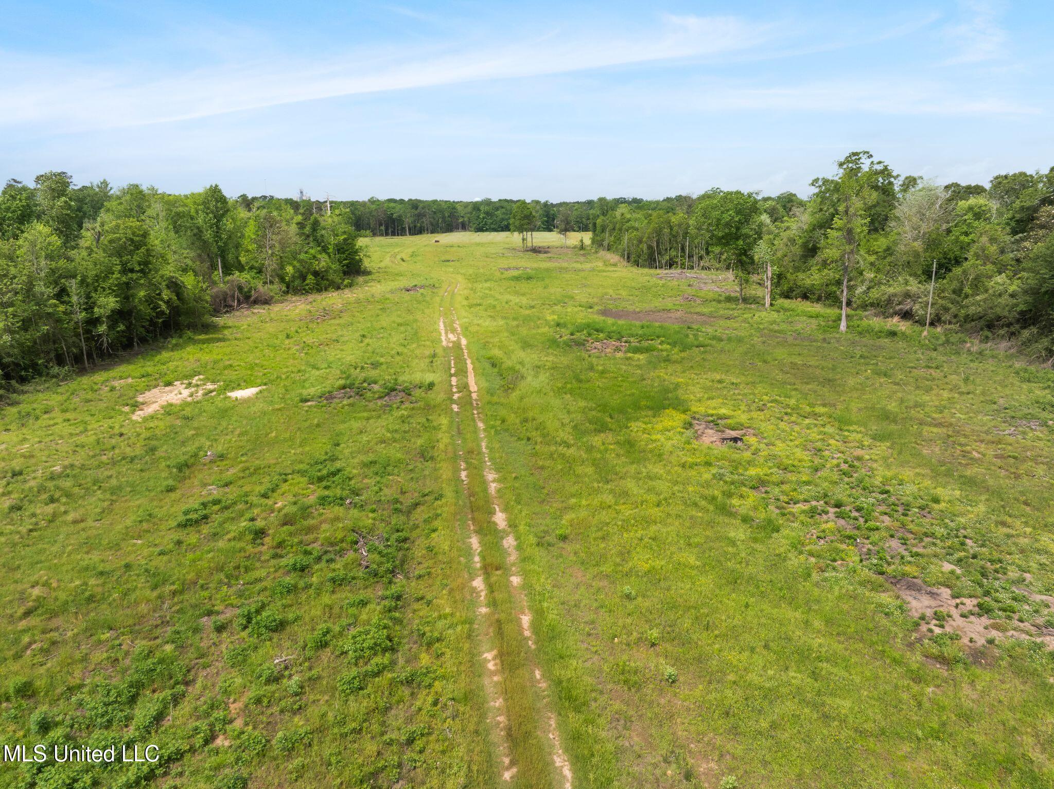 81.64 Acres William Warren Road, Collins, Mississippi image 22