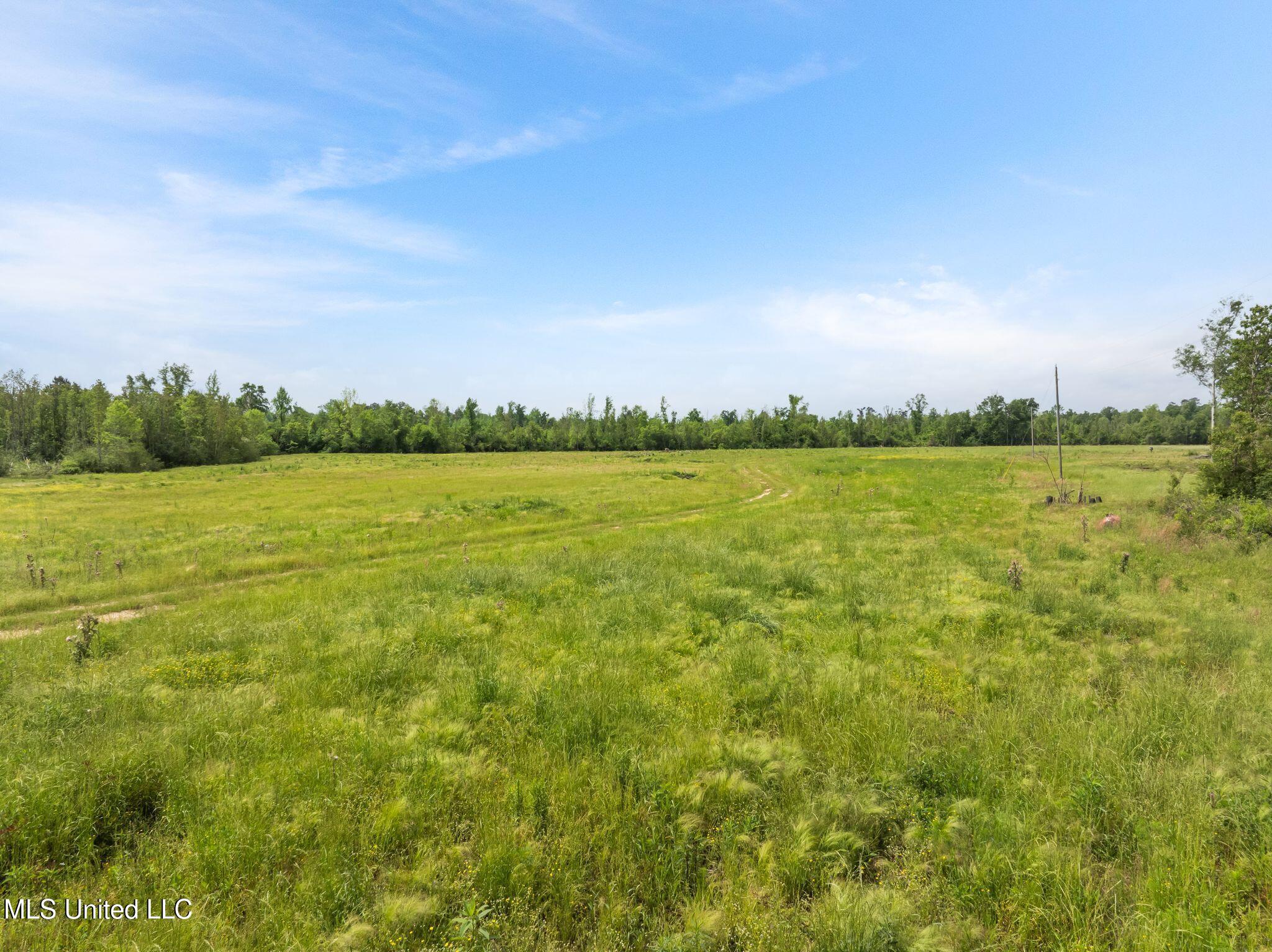 81.64 Acres William Warren Road, Collins, Mississippi image 12