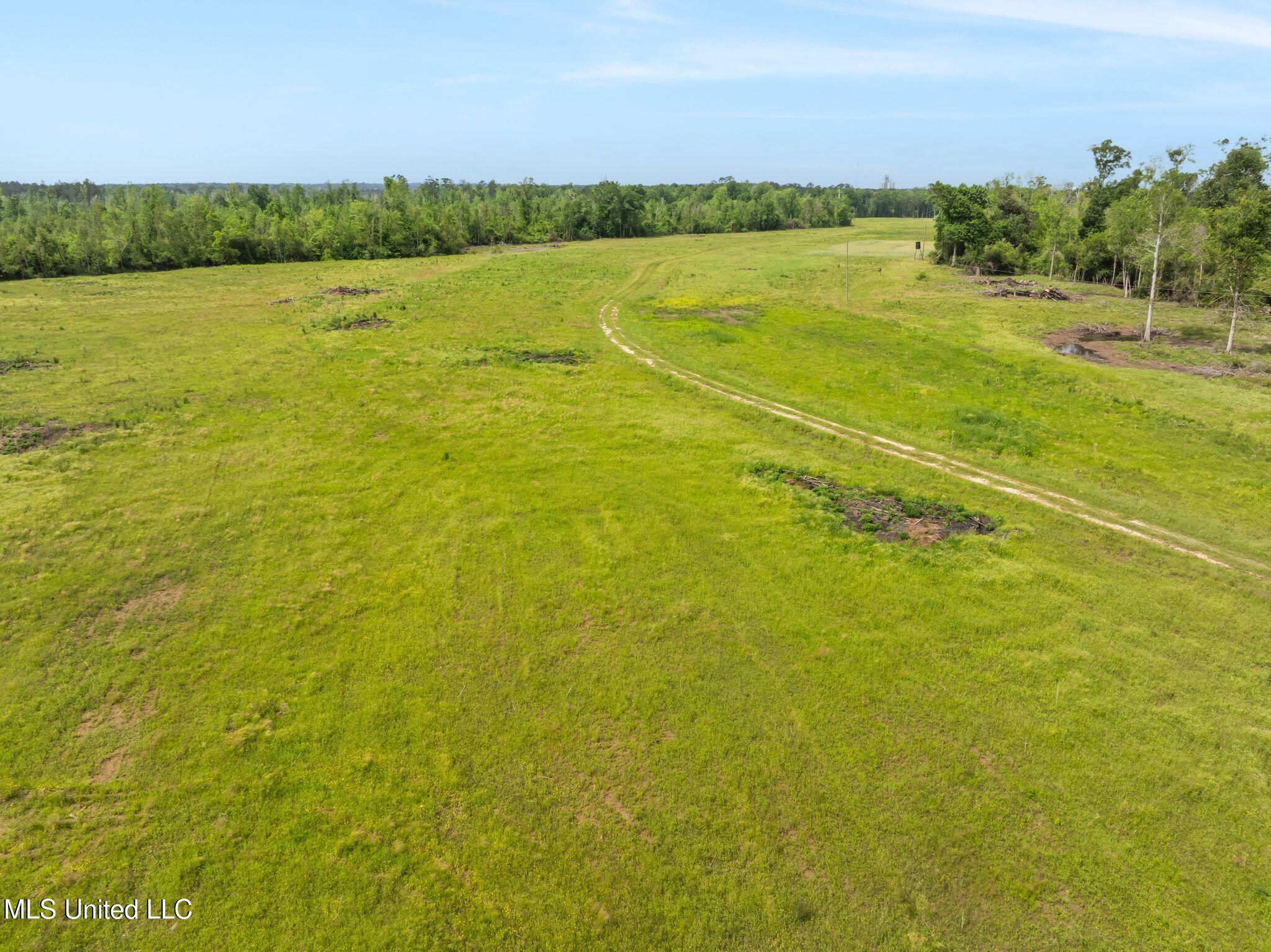81.64 Acres William Warren Road, Collins, Mississippi image 20
