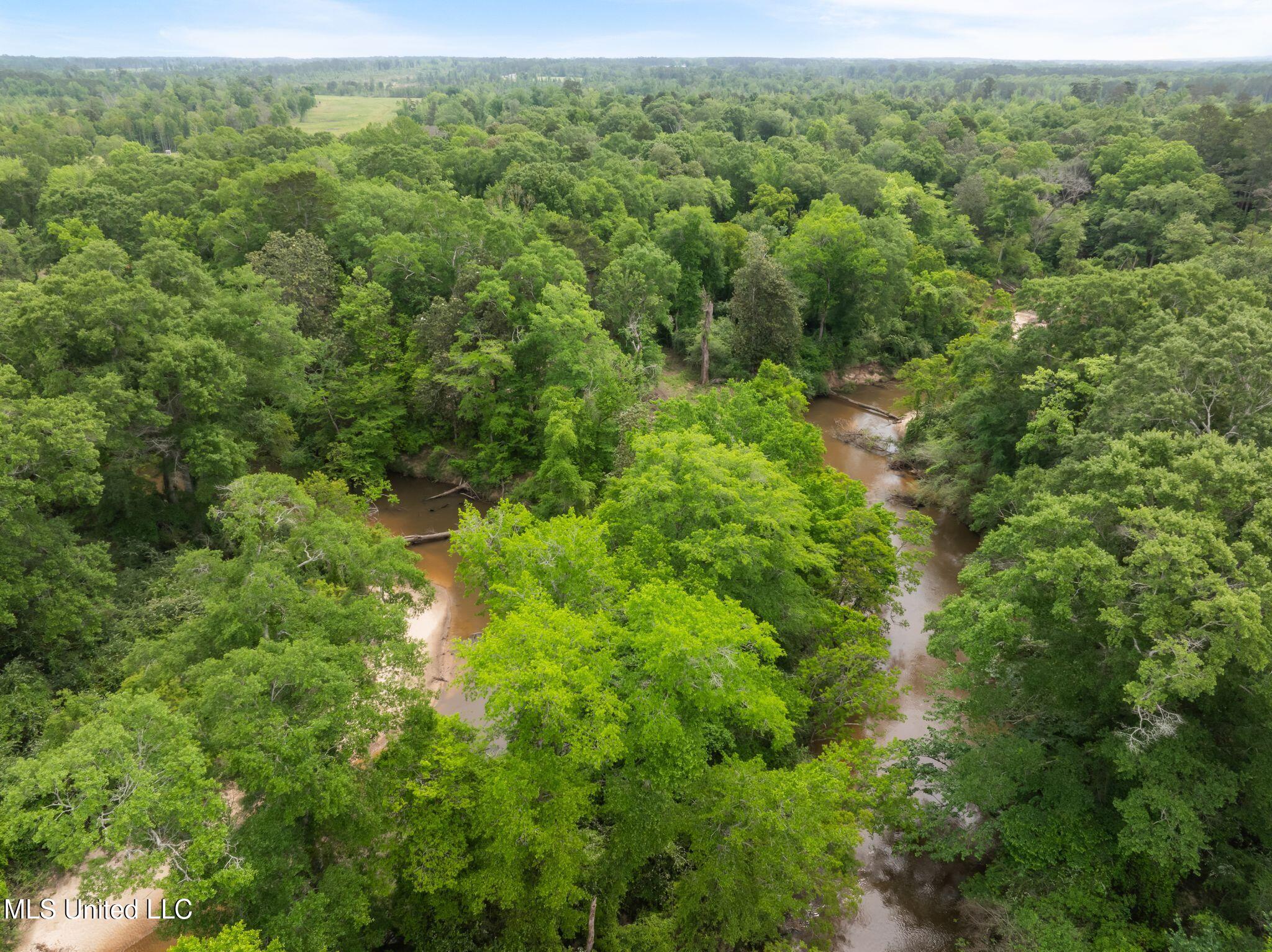 81.64 Acres William Warren Road, Collins, Mississippi image 27
