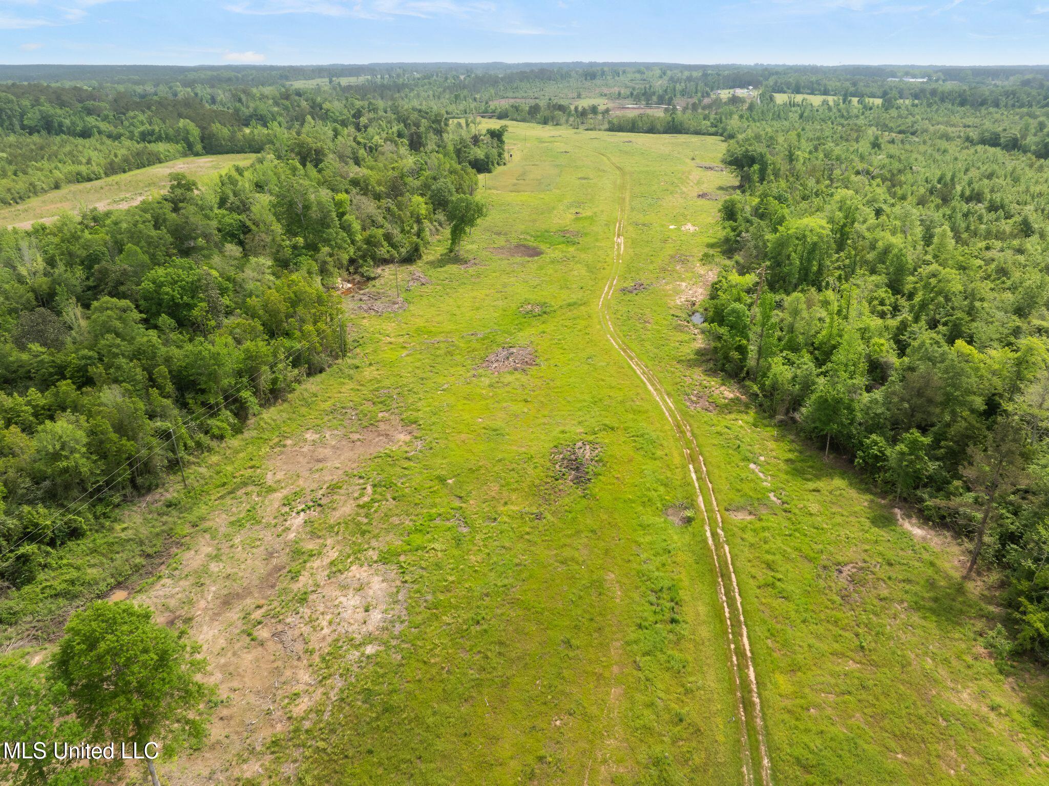 81.64 Acres William Warren Road, Collins, Mississippi image 40
