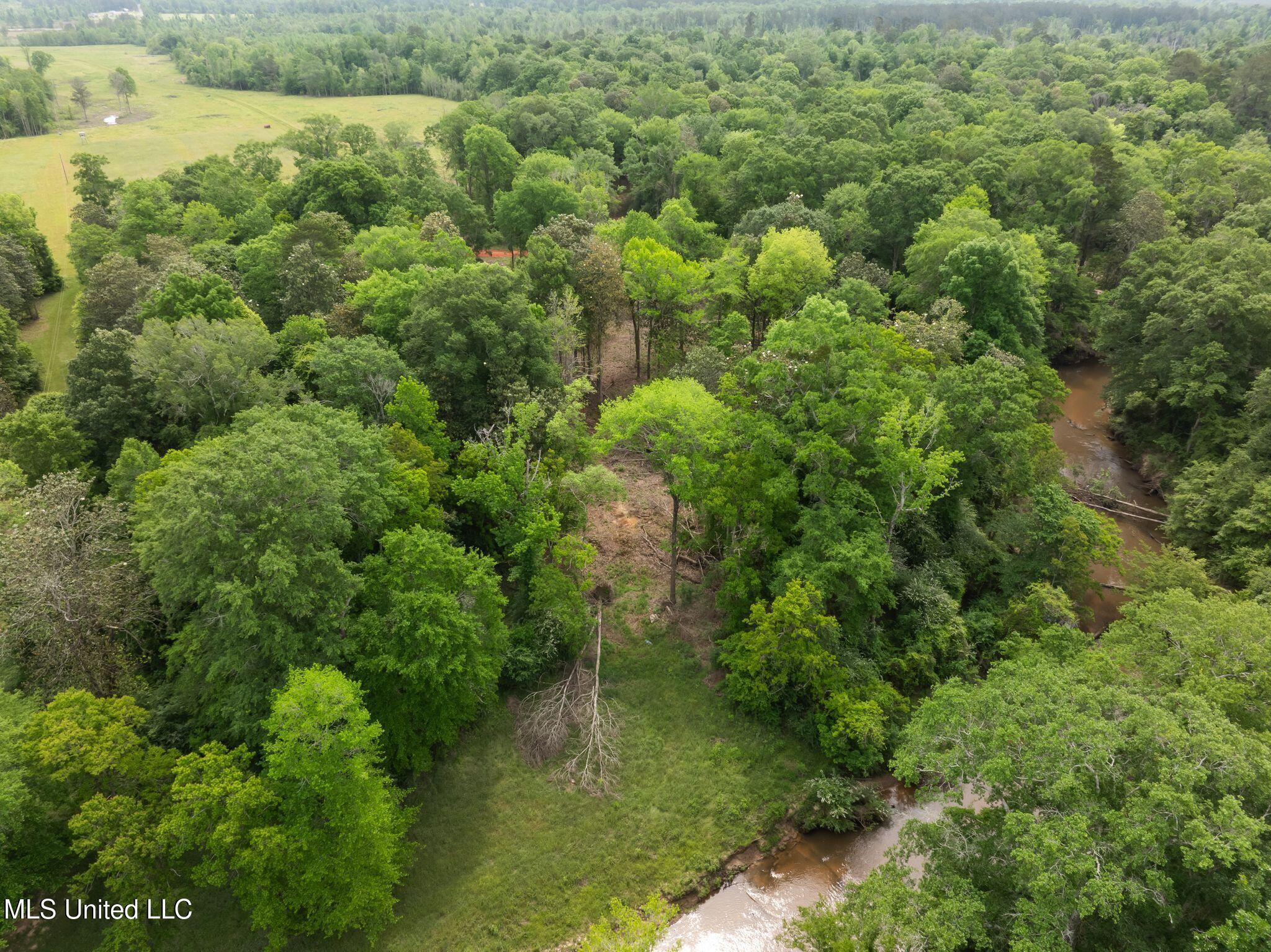 81.64 Acres William Warren Road, Collins, Mississippi image 28
