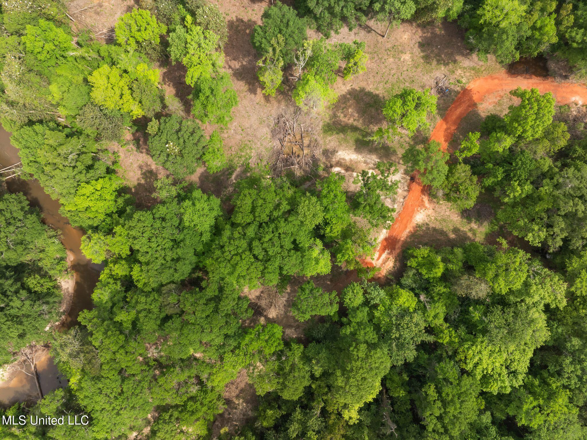 81.64 Acres William Warren Road, Collins, Mississippi image 32