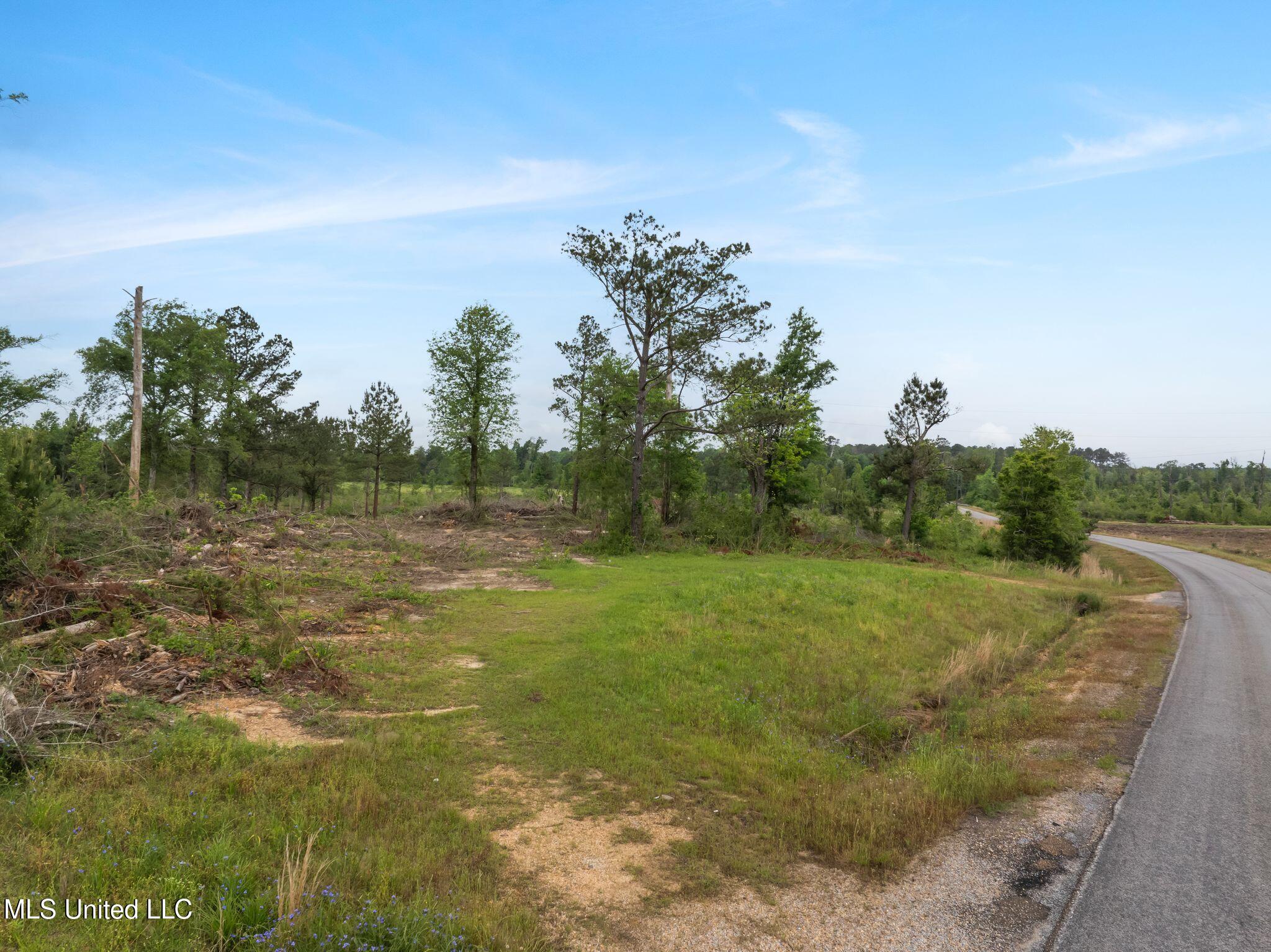 81.64 Acres William Warren Road, Collins, Mississippi image 8