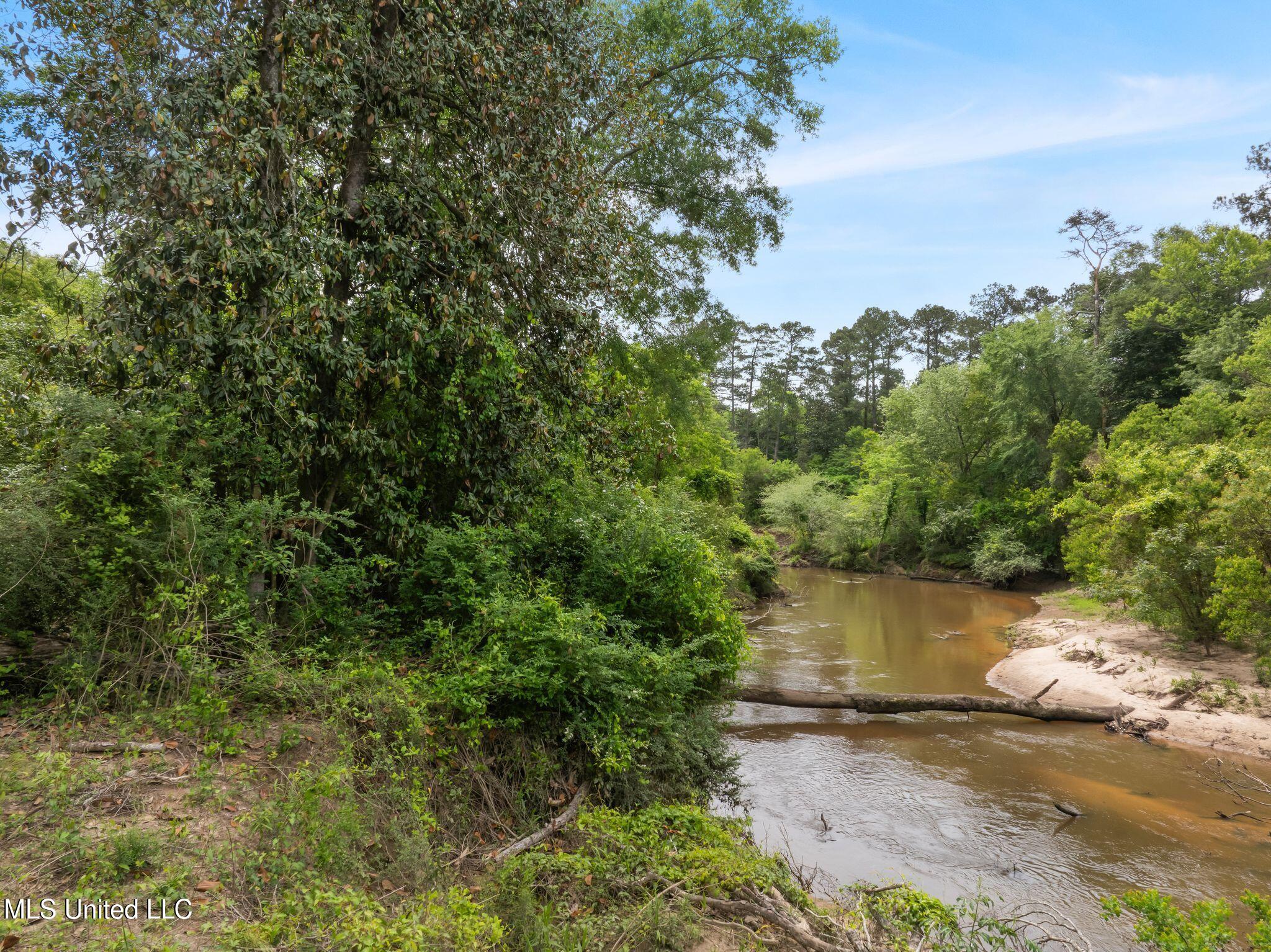 81.64 Acres William Warren Road, Collins, Mississippi image 16