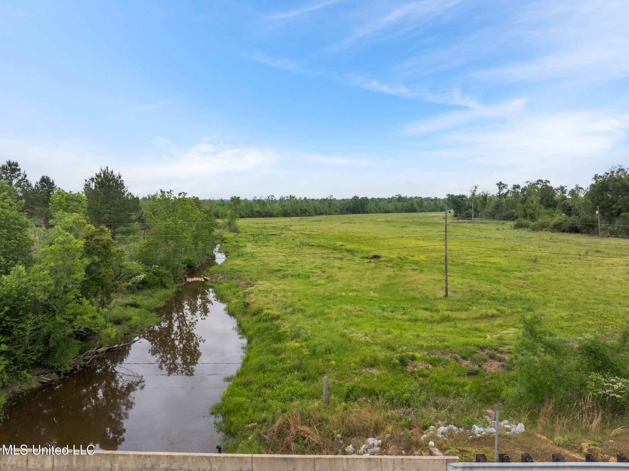 81.64 Acres William Warren Road, Collins, Mississippi image 7