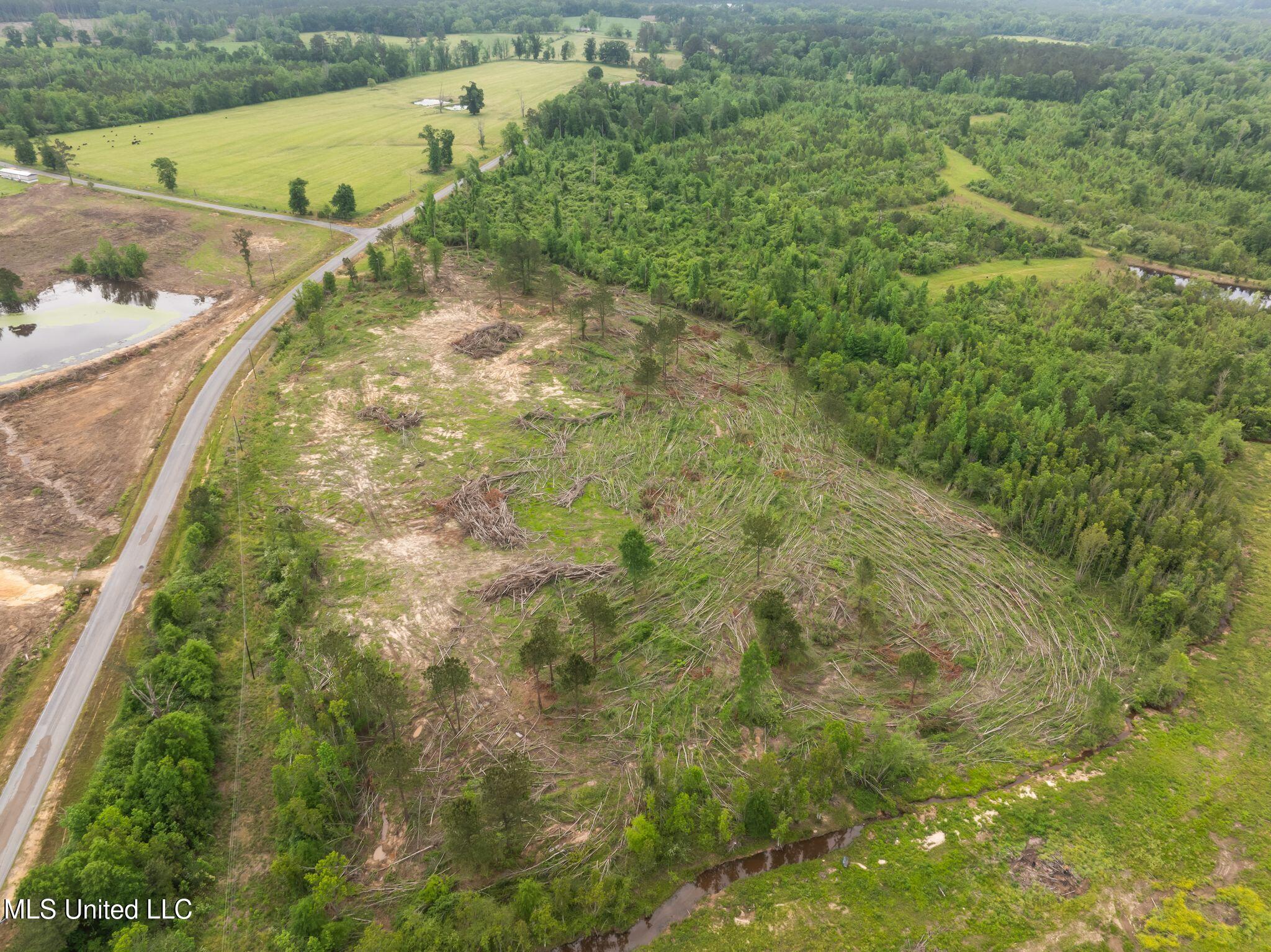 81.64 Acres William Warren Road, Collins, Mississippi image 35