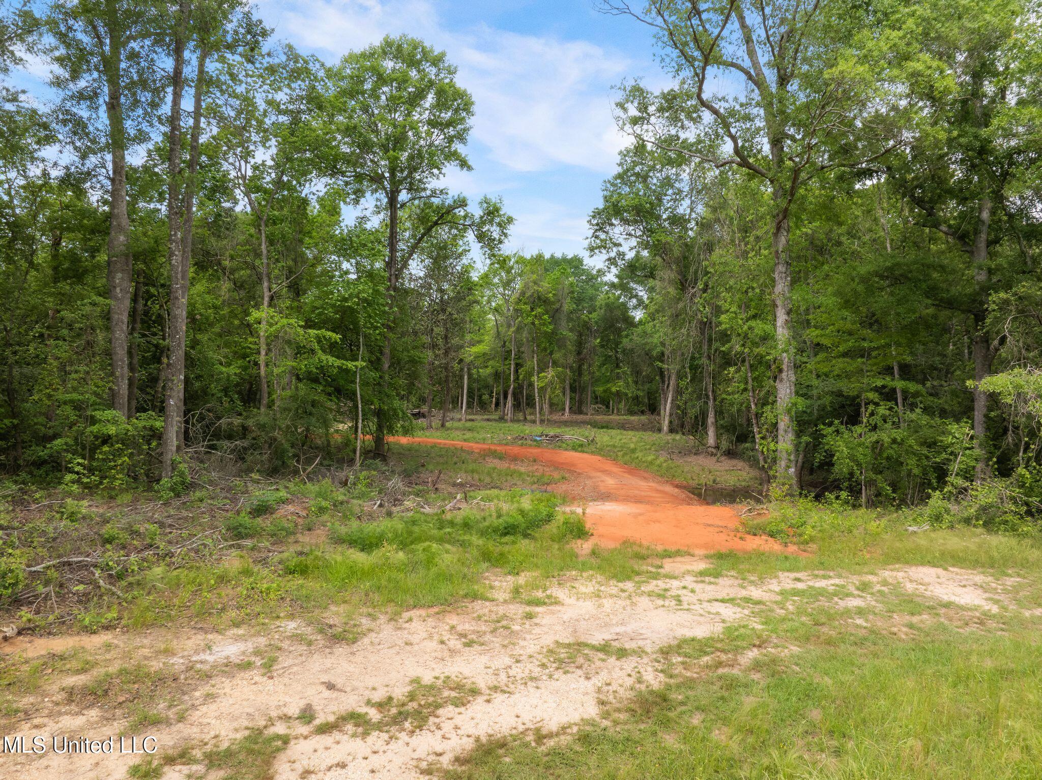81.64 Acres William Warren Road, Collins, Mississippi image 13