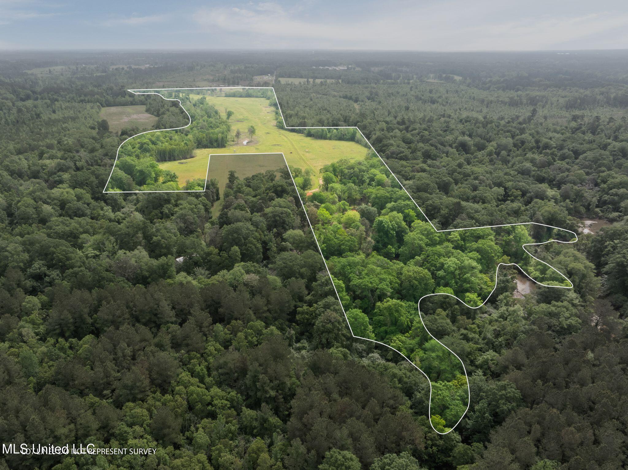 81.64 Acres William Warren Road, Collins, Mississippi image 1