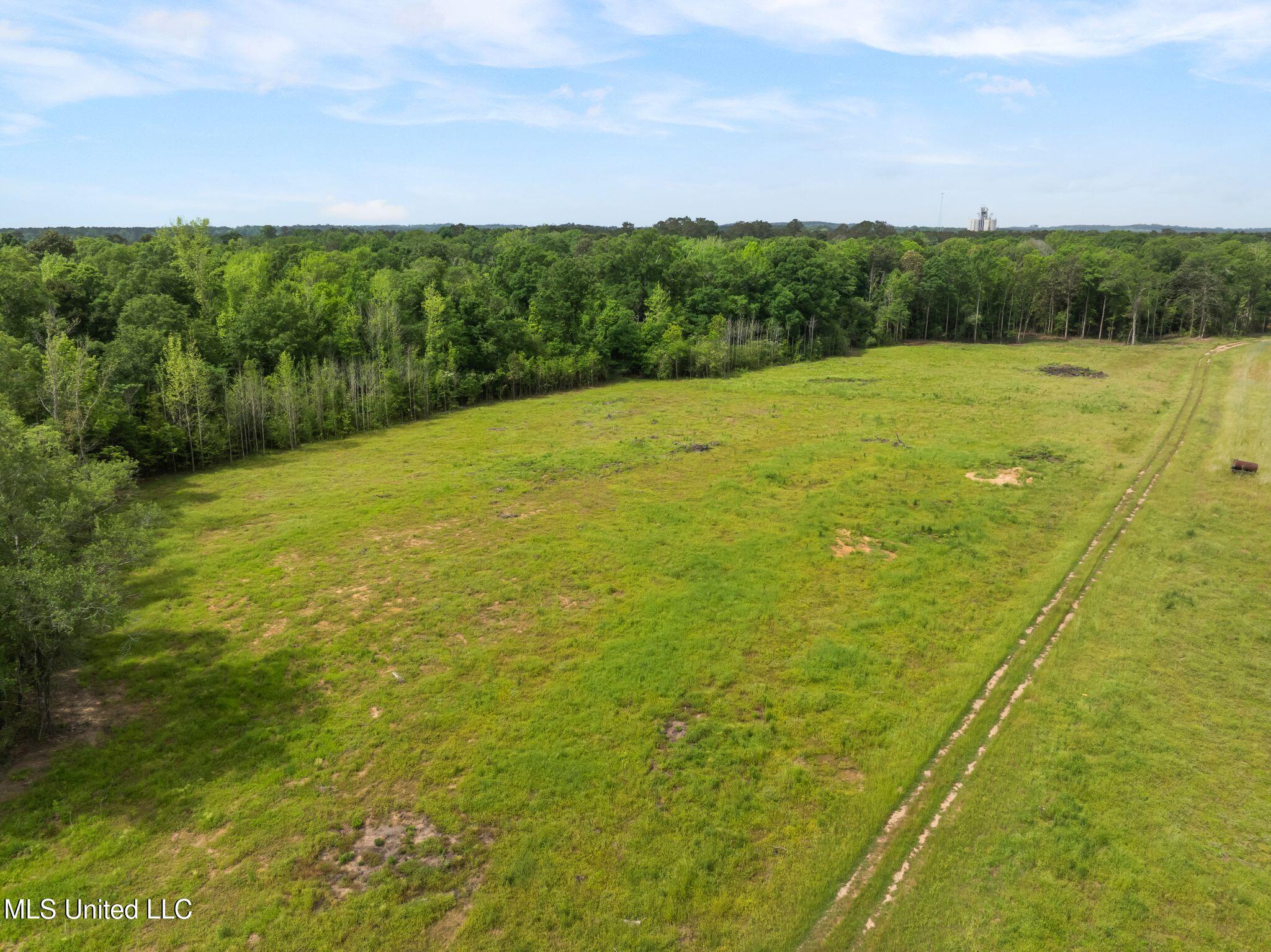 81.64 Acres William Warren Road, Collins, Mississippi image 24
