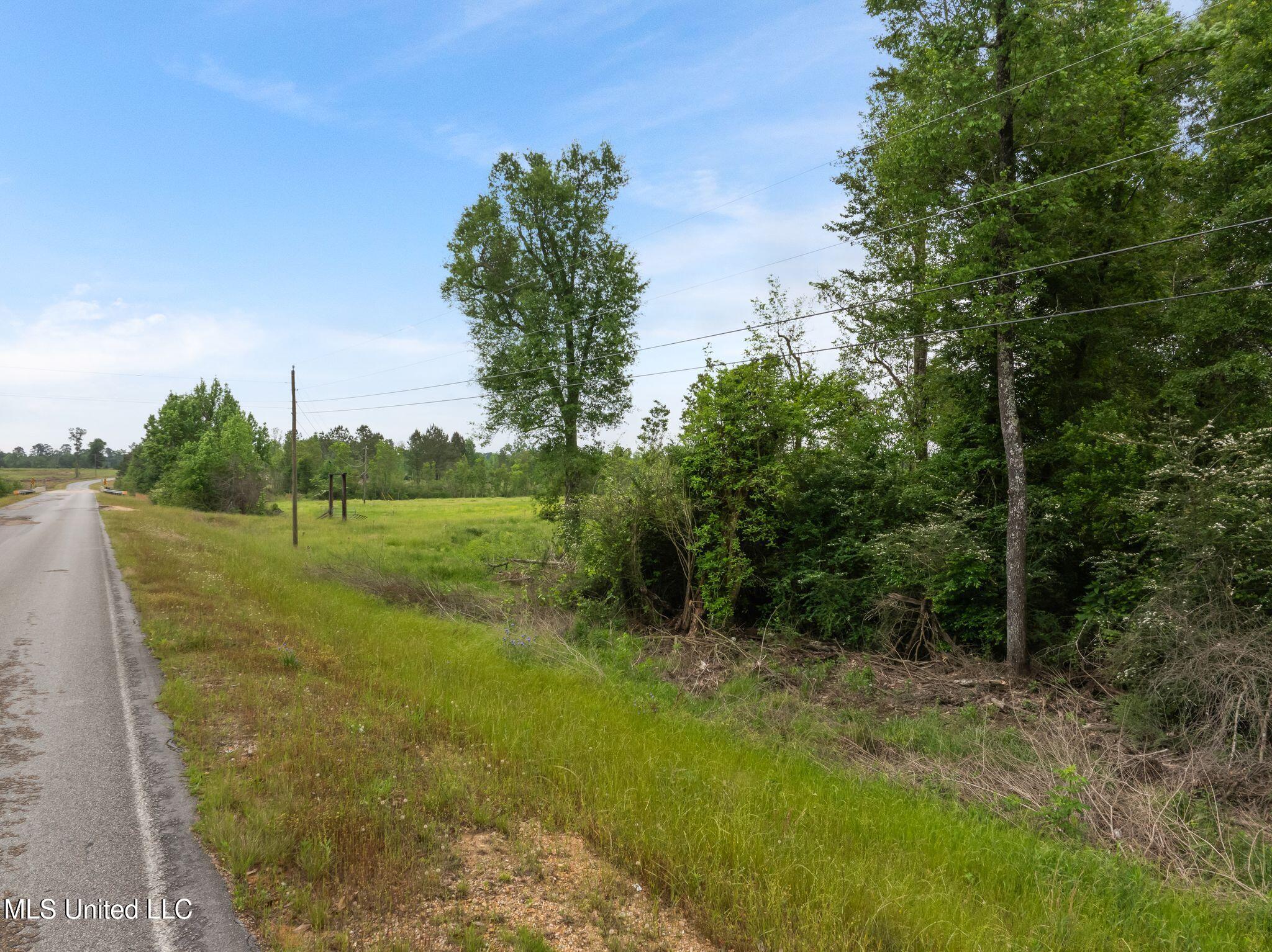 81.64 Acres William Warren Road, Collins, Mississippi image 4