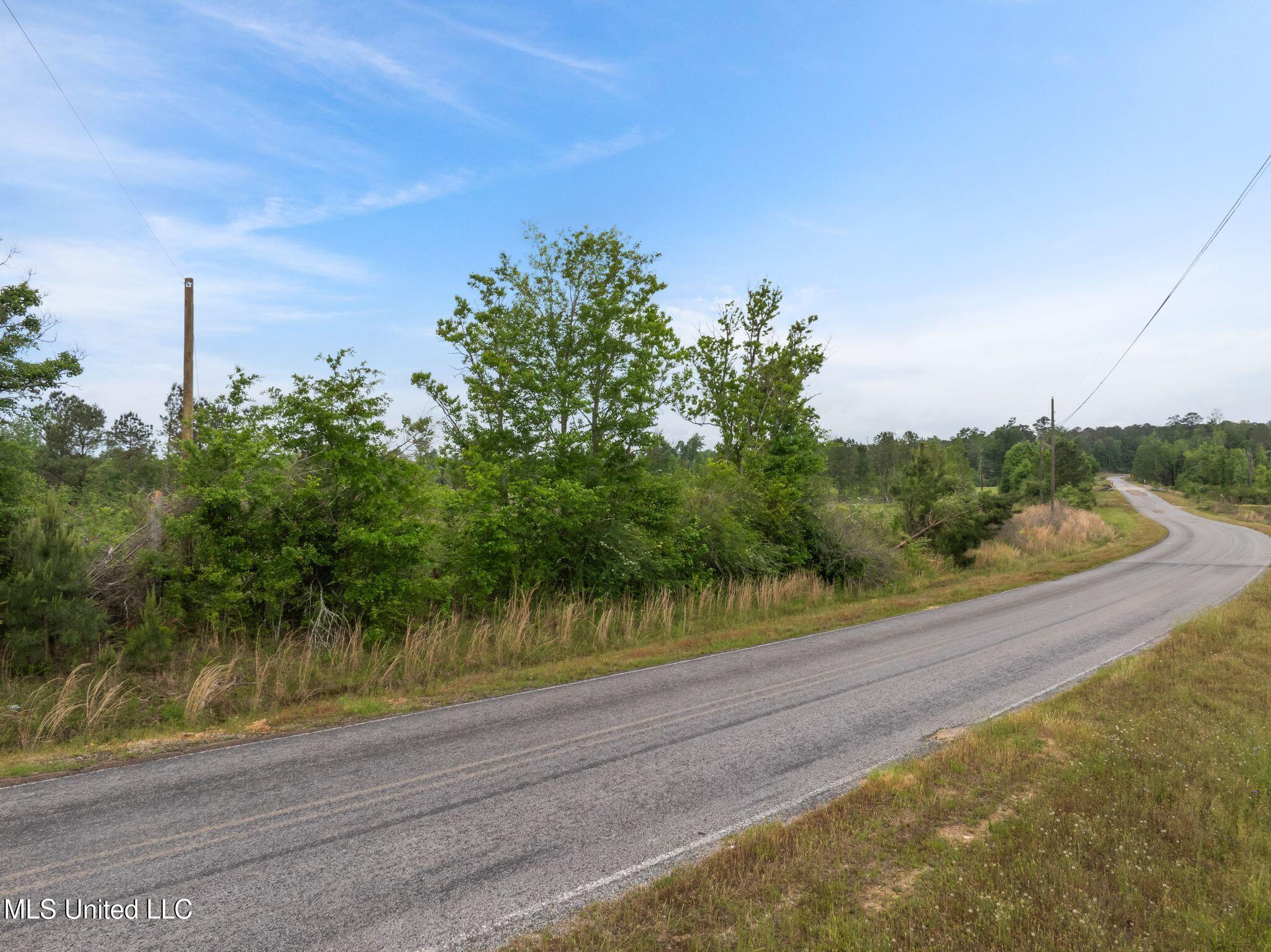 81.64 Acres William Warren Road, Collins, Mississippi image 9