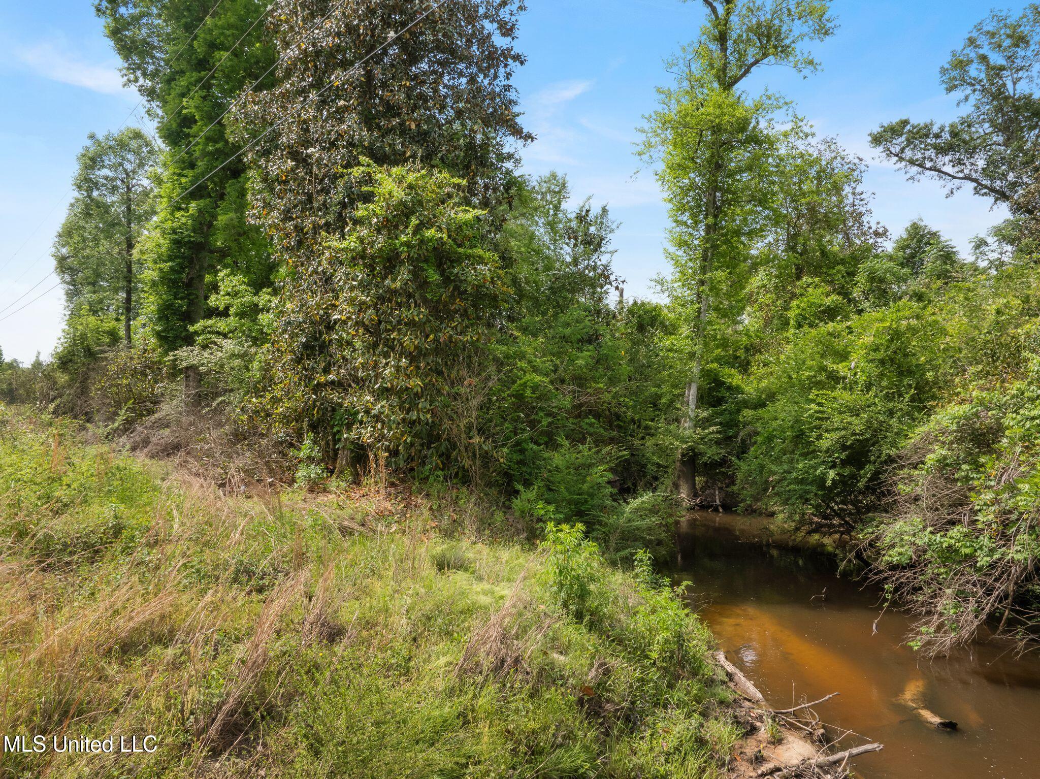 81.64 Acres William Warren Road, Collins, Mississippi image 5