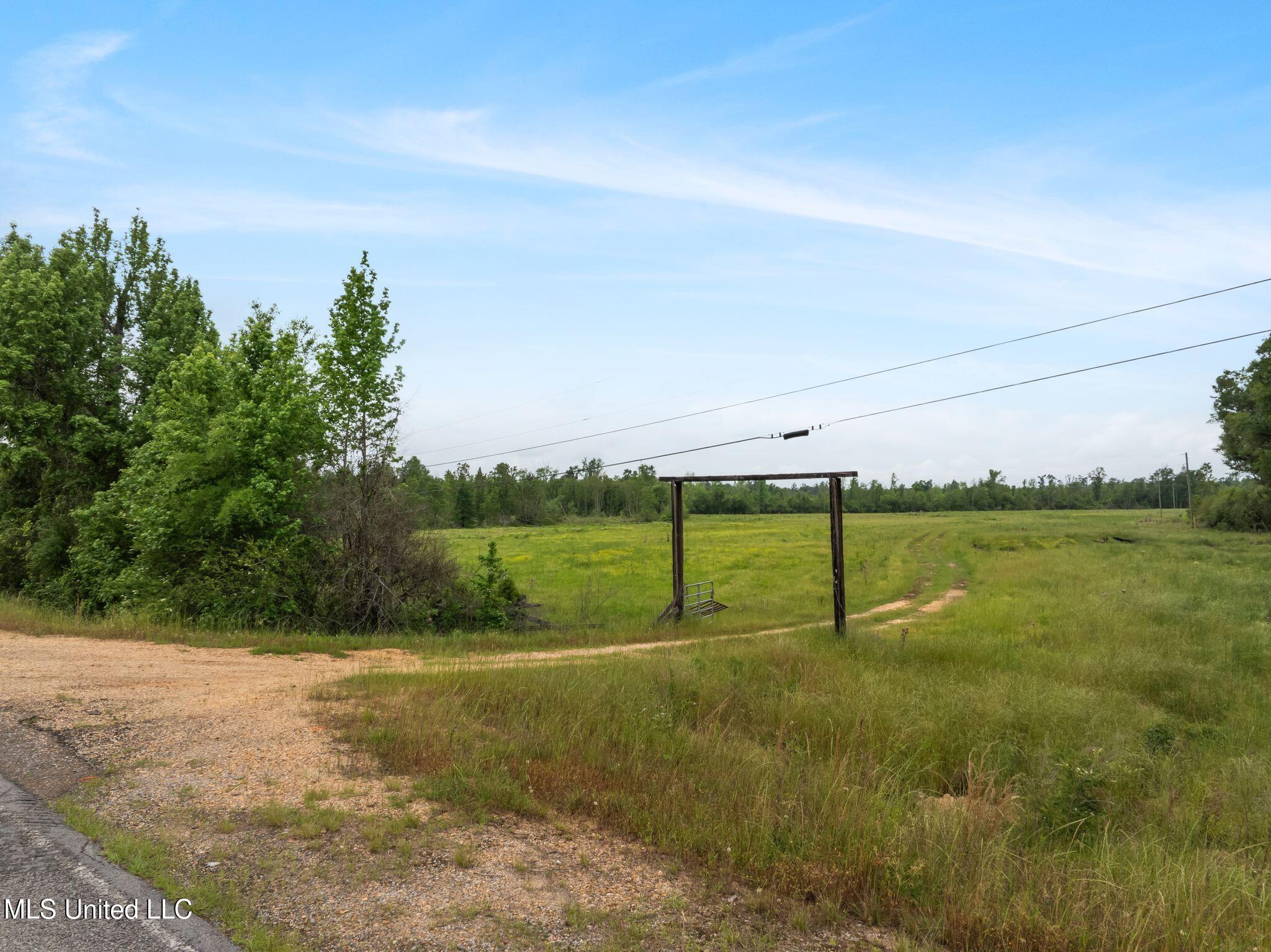 81.64 Acres William Warren Road, Collins, Mississippi image 6
