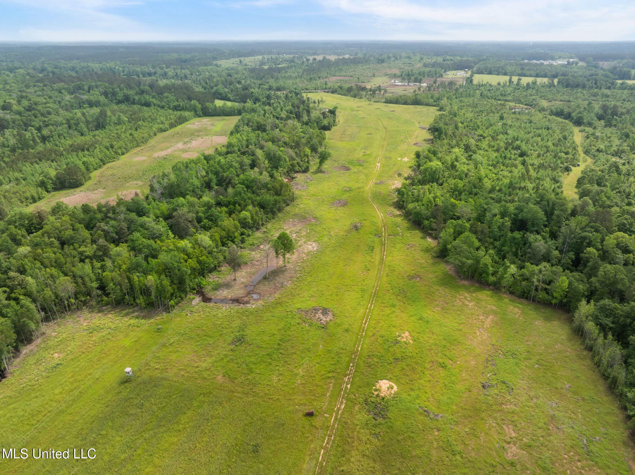 81.64 Acres William Warren Road, Collins, Mississippi image 39