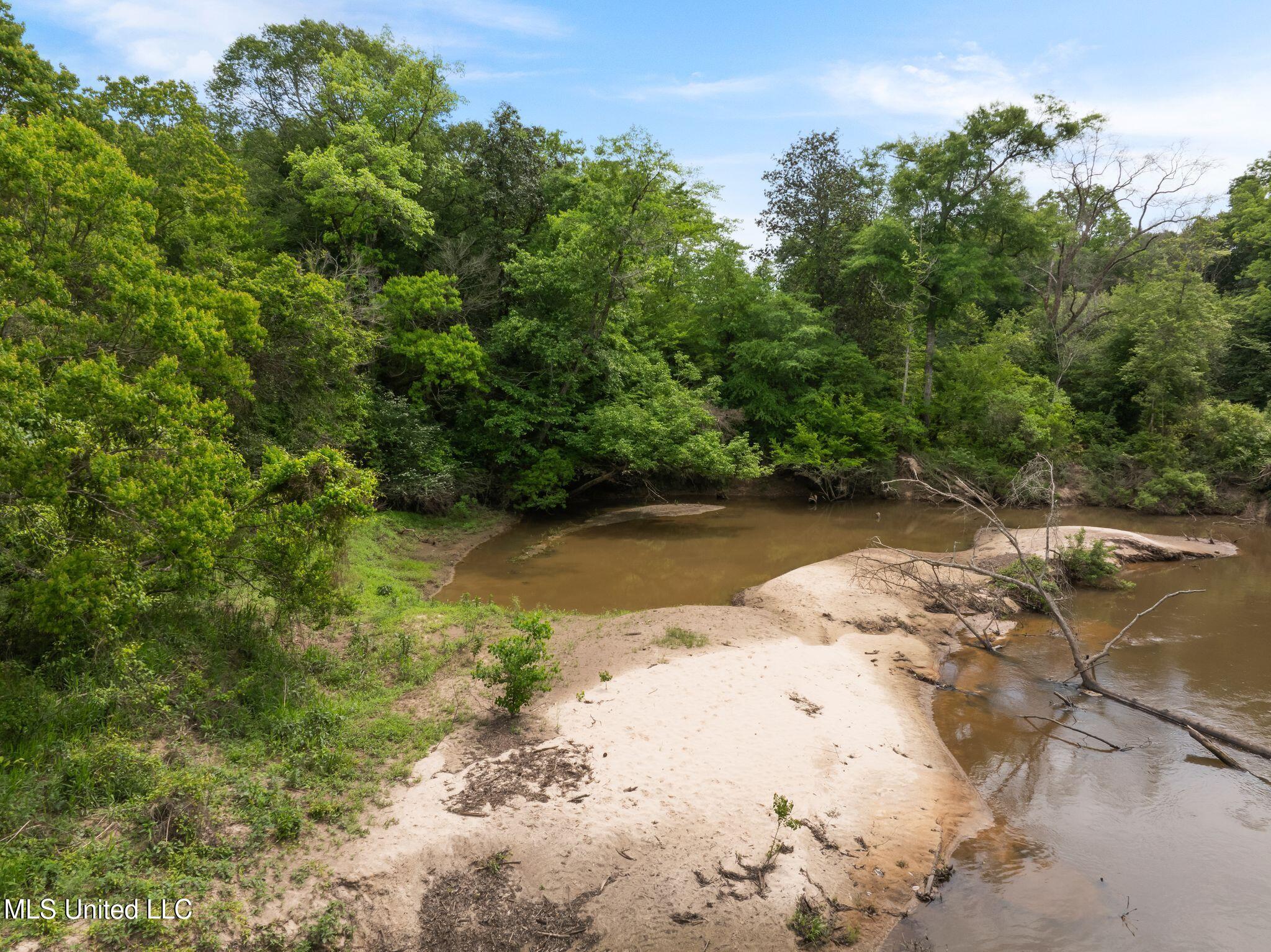 81.64 Acres William Warren Road, Collins, Mississippi image 18