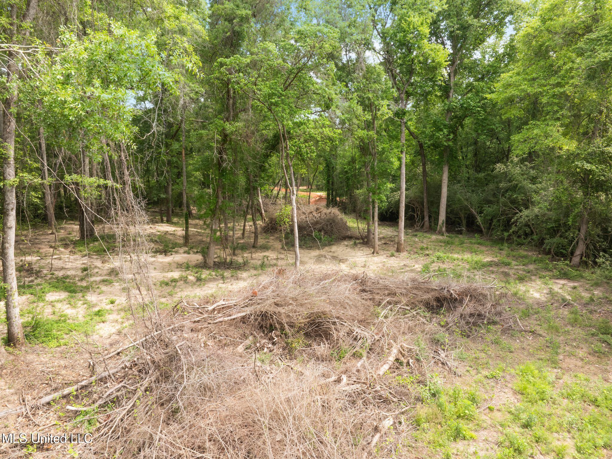 81.64 Acres William Warren Road, Collins, Mississippi image 17