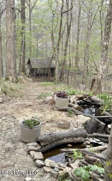 11455 First Hickory Cove, Hernando, Mississippi image 16