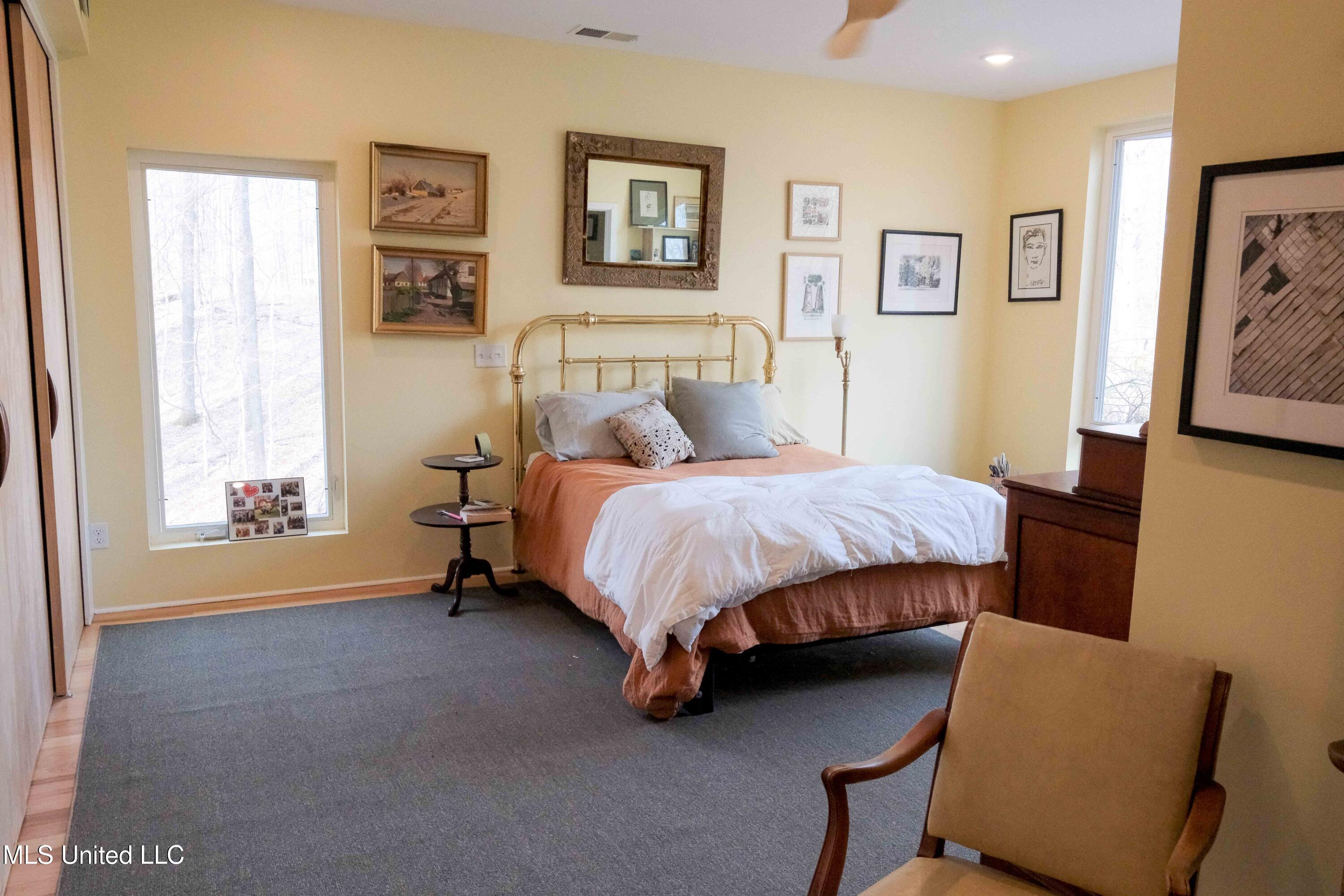 11455 First Hickory Cove, Hernando, Mississippi image 10