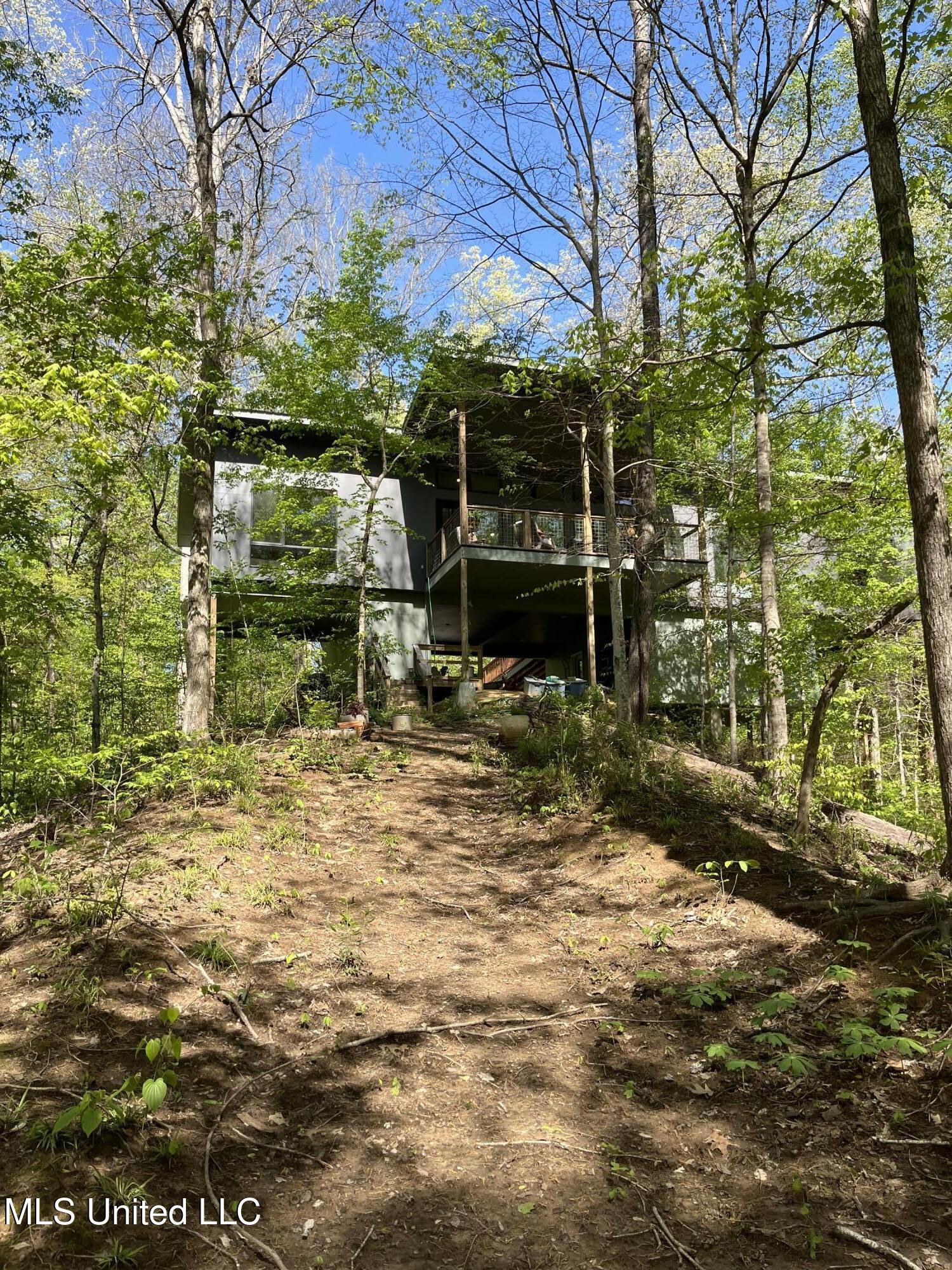 11455 First Hickory Cove, Hernando, Mississippi image 15