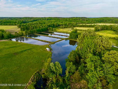 Vacant Land For Sale - 0001 County Road 204<br/> Tiplersville, MS 38674