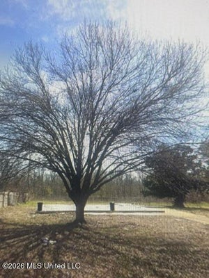 212 CONFEDERATE ST, CLARKSDALE, MS 38614 - Image f577a052fe6cc95abff4fe5a1a90f035/737796092