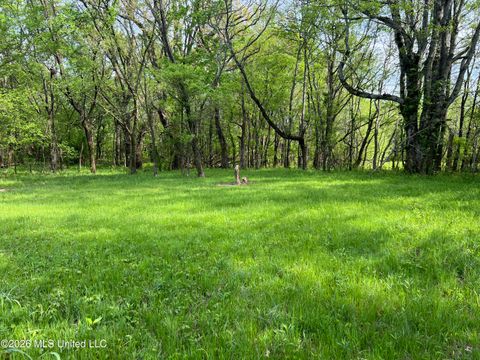 Vacant Land For Sale - 00 Lucius Taylor Road<br/> Como, MS 38619