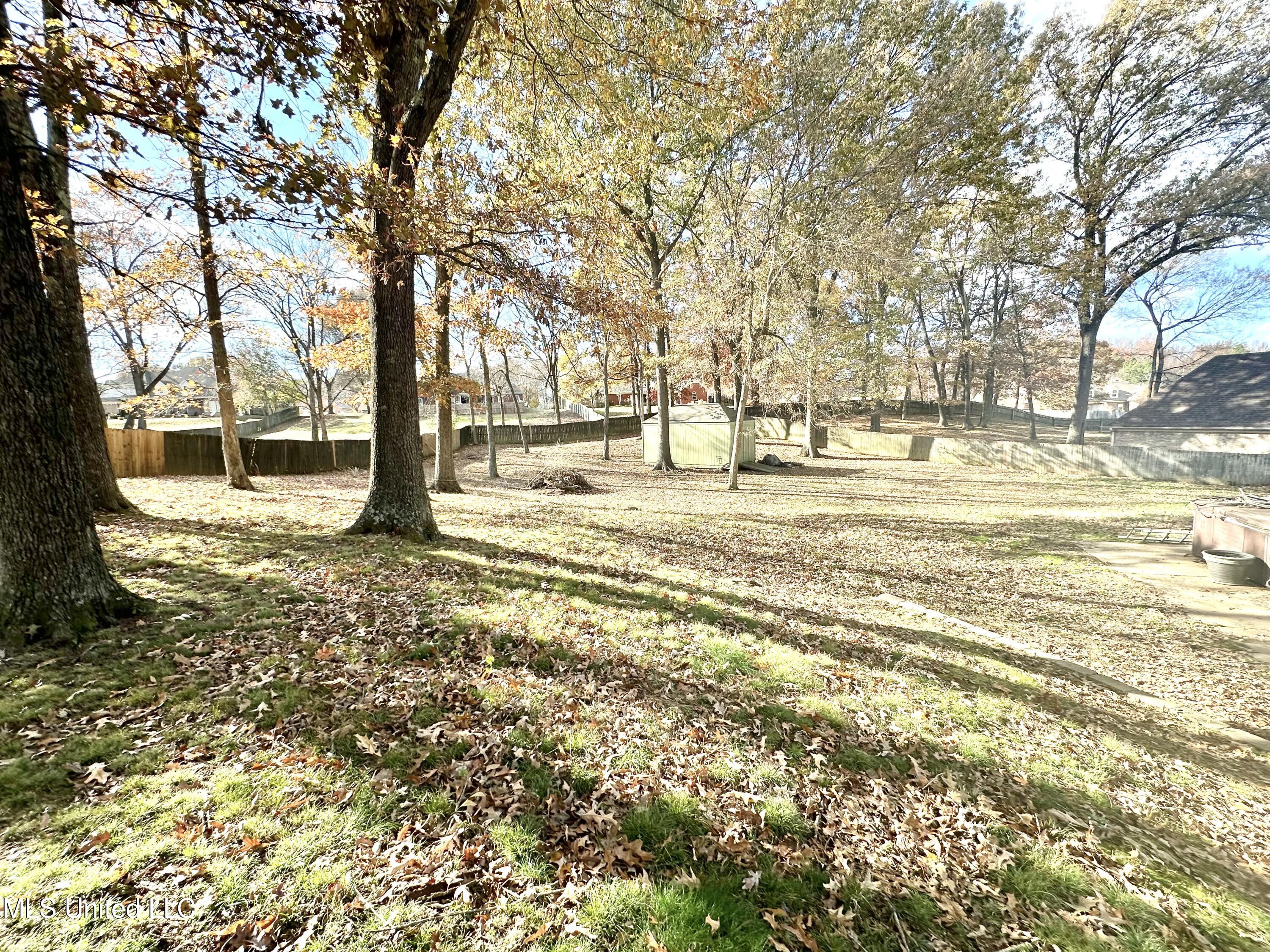 3317 Maple Hollow Cove, Southaven, Mississippi image 34