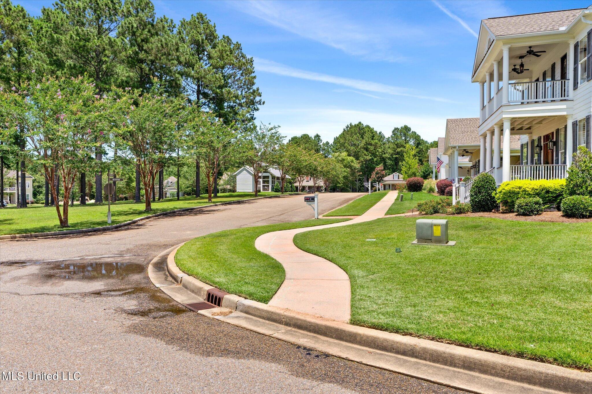 19 Maypop Avenue, Hattiesburg, Mississippi image 41