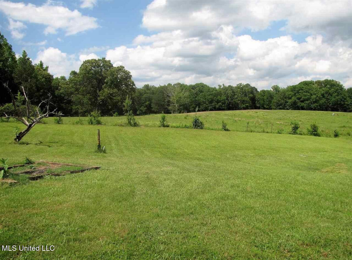 29b County Road 989, Iuka, Mississippi image 23