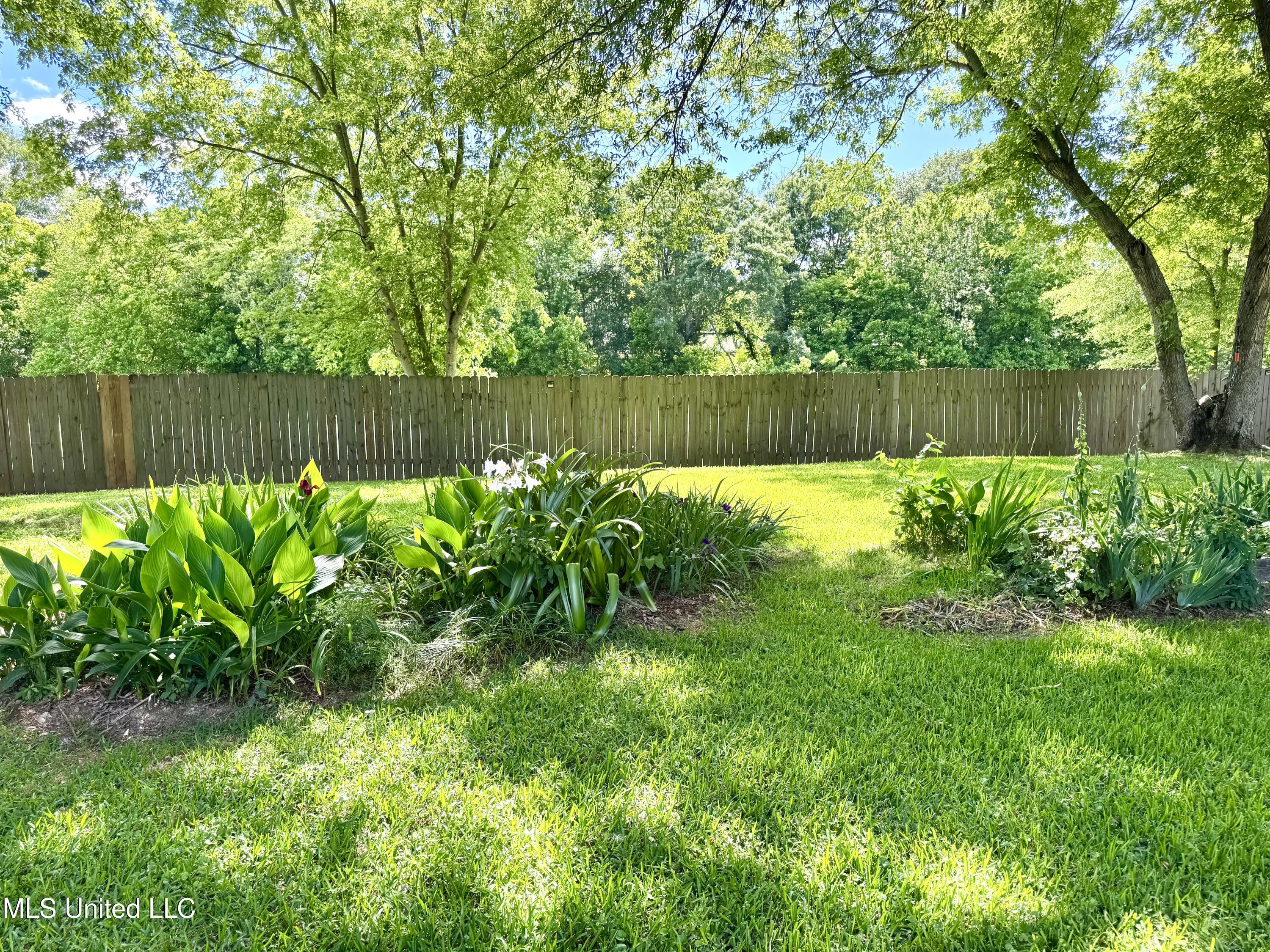 320 Colonial Drive, Madison, Mississippi image 43
