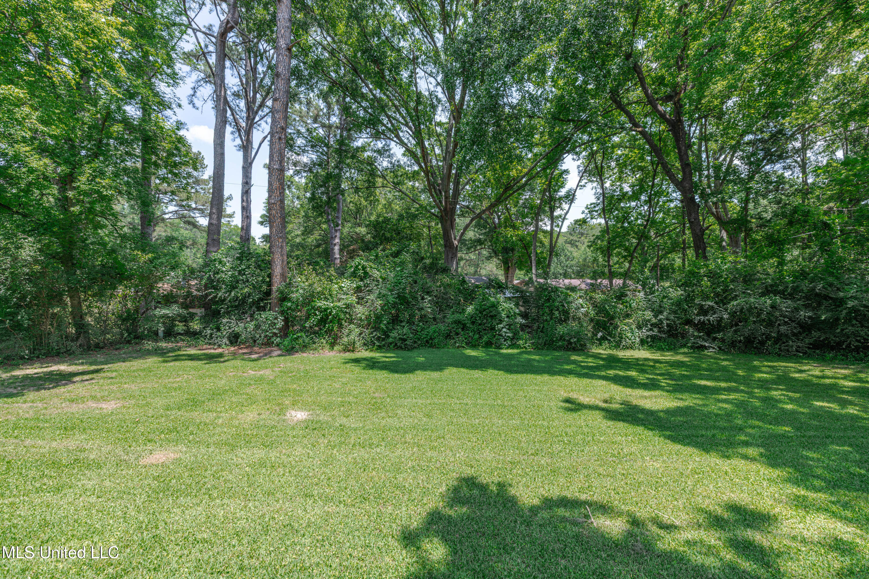 828 Briarwood Drive, Jackson, Mississippi image 7