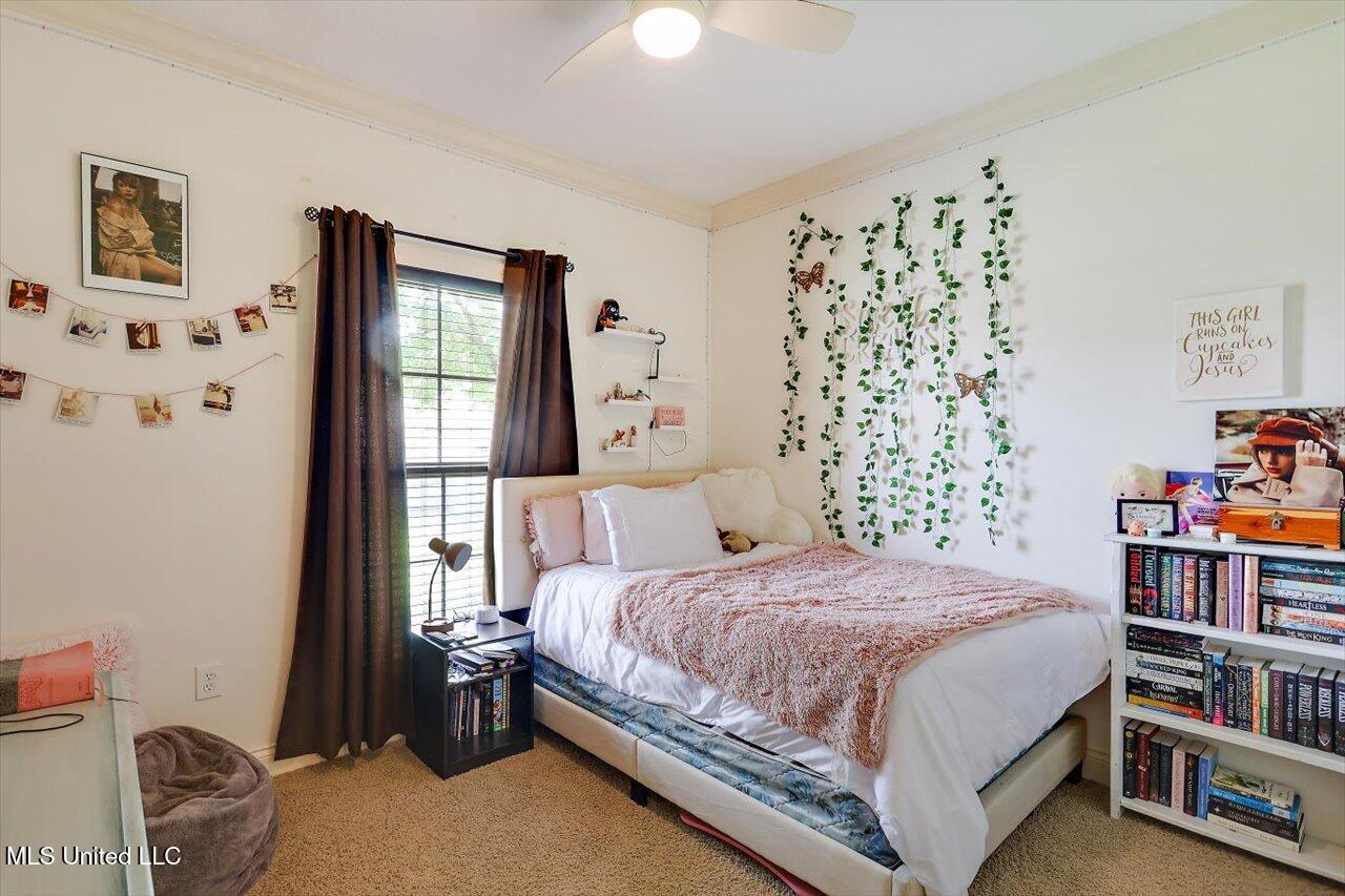 159 Stillhouse Creek Drive, Madison, Mississippi image 28