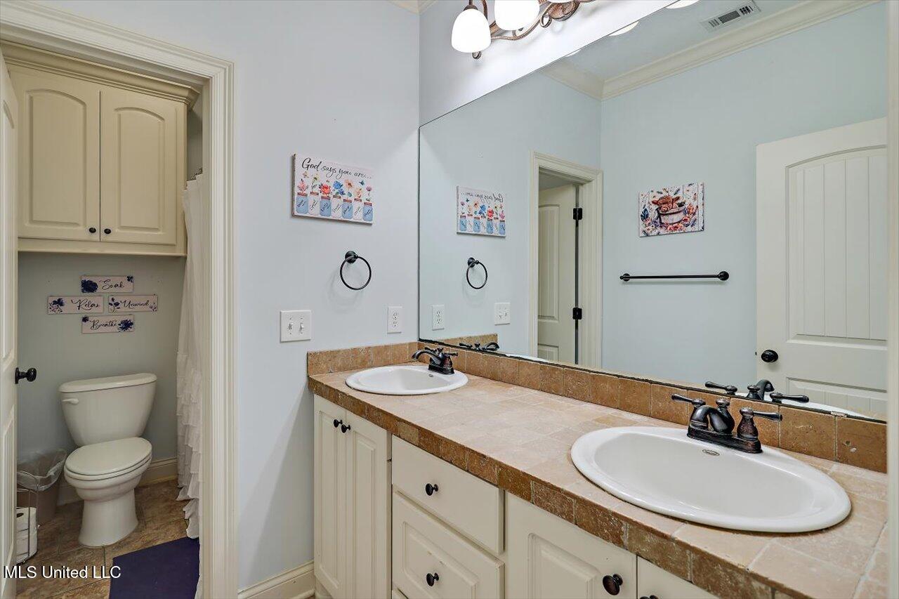 159 Stillhouse Creek Drive, Madison, Mississippi image 26