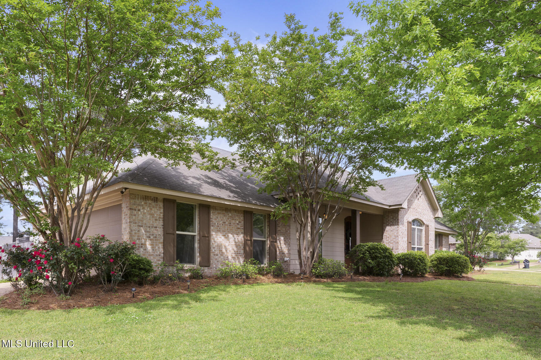 194 Memory Lane, Madison, Mississippi image 3