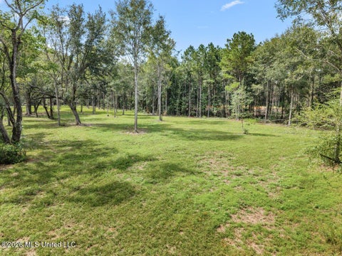 Vacant Land For Sale - Salem Road<br/> Picayune, MS 39466