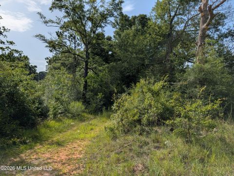 Vacant Land For Sale - 148 Pepper Lane<br/> George County, Lucedale, MS 39452