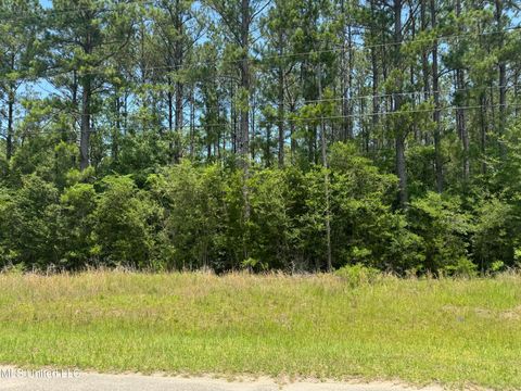 Vacant Land For Sale - E Edgewood Drive<br/> Saucier, MS 39574