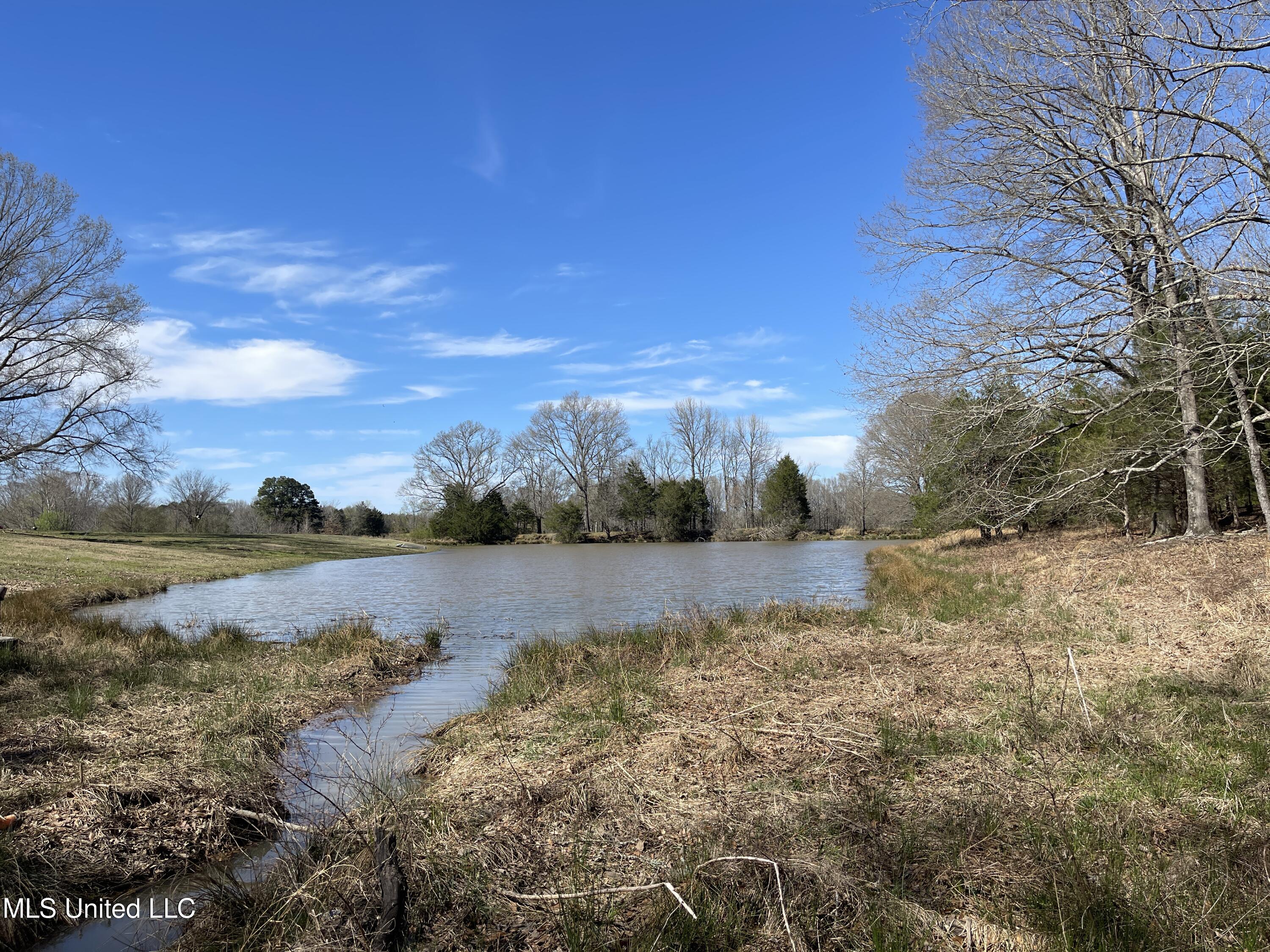 115 Cherrydale Drive, Coldwater, Mississippi image 5