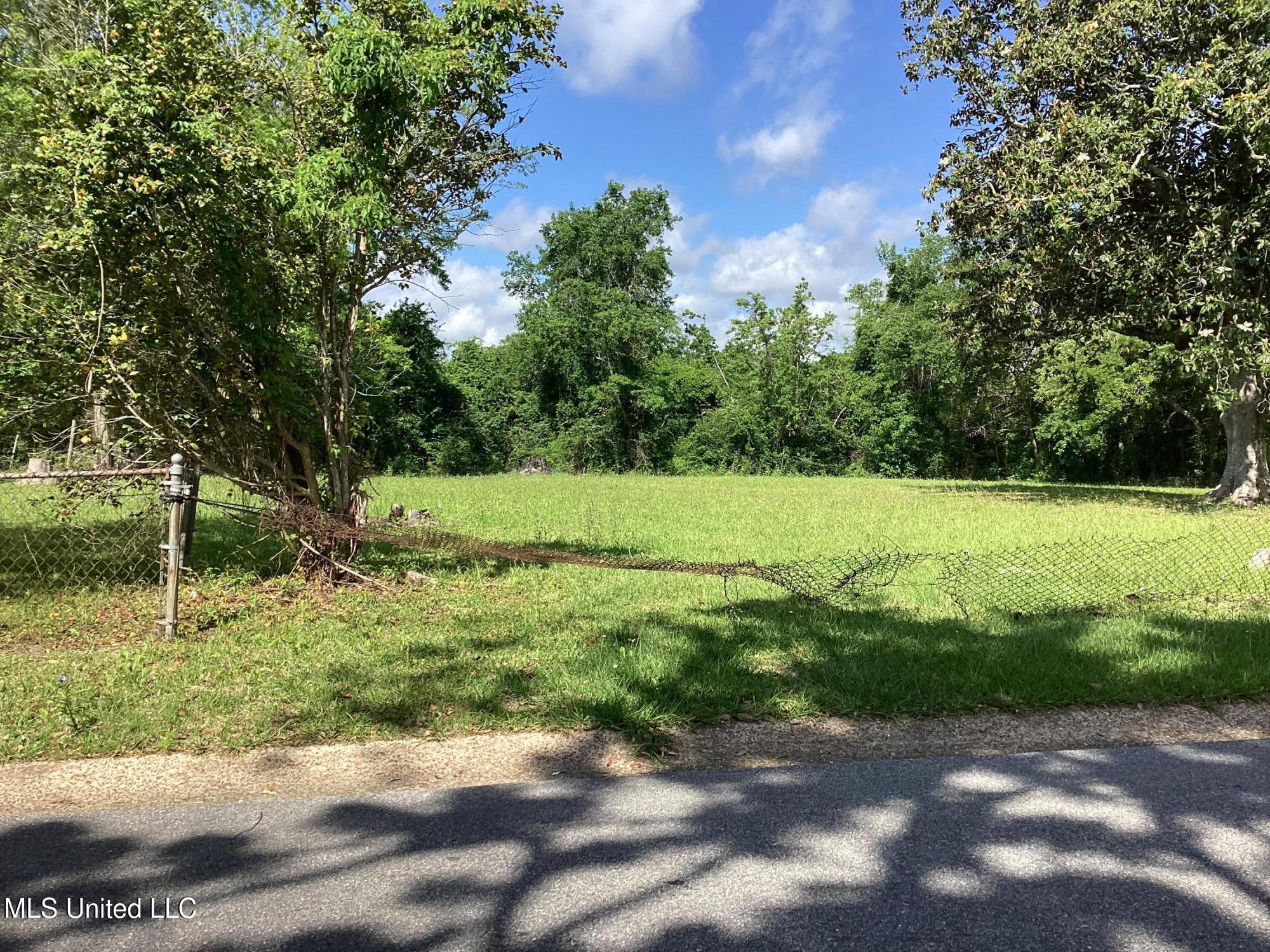 Bowen Street, Moss Point, Mississippi image 2