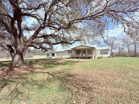 Homes For Sale - 597 Highway 583<br/> Walthall County, Tylertown, MS 39667