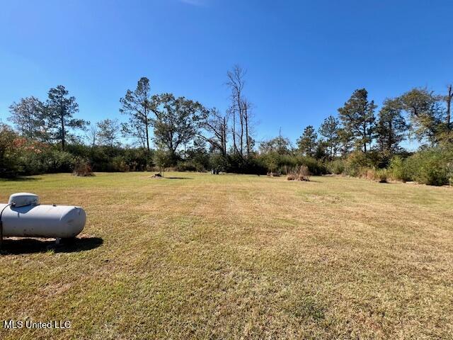 33 Watts Bennett Circle, Oak Vale, Mississippi image 19