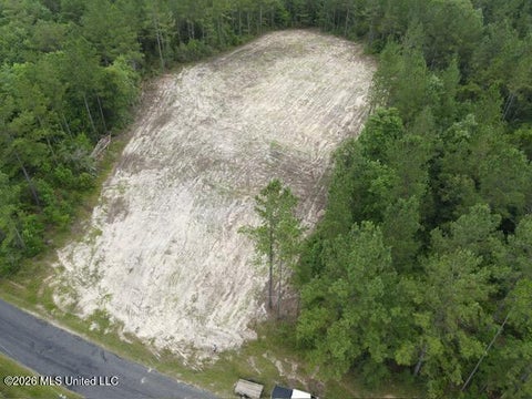 Vacant Land For Sale - 000 Stanford Lake Road Rd<br/> Poplarville, MS 39470
