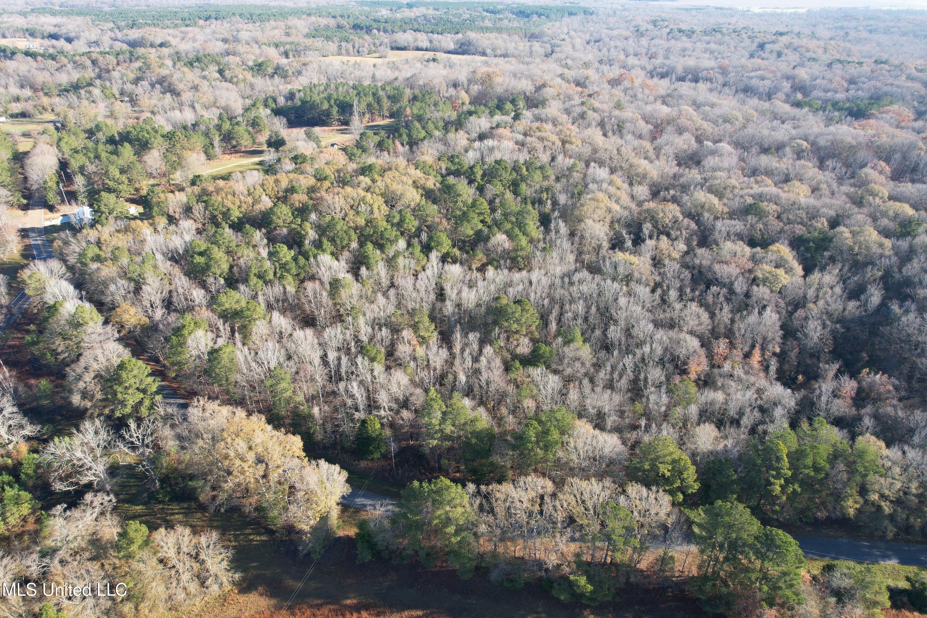 Cox Ferry Road, Flora, Mississippi image 2