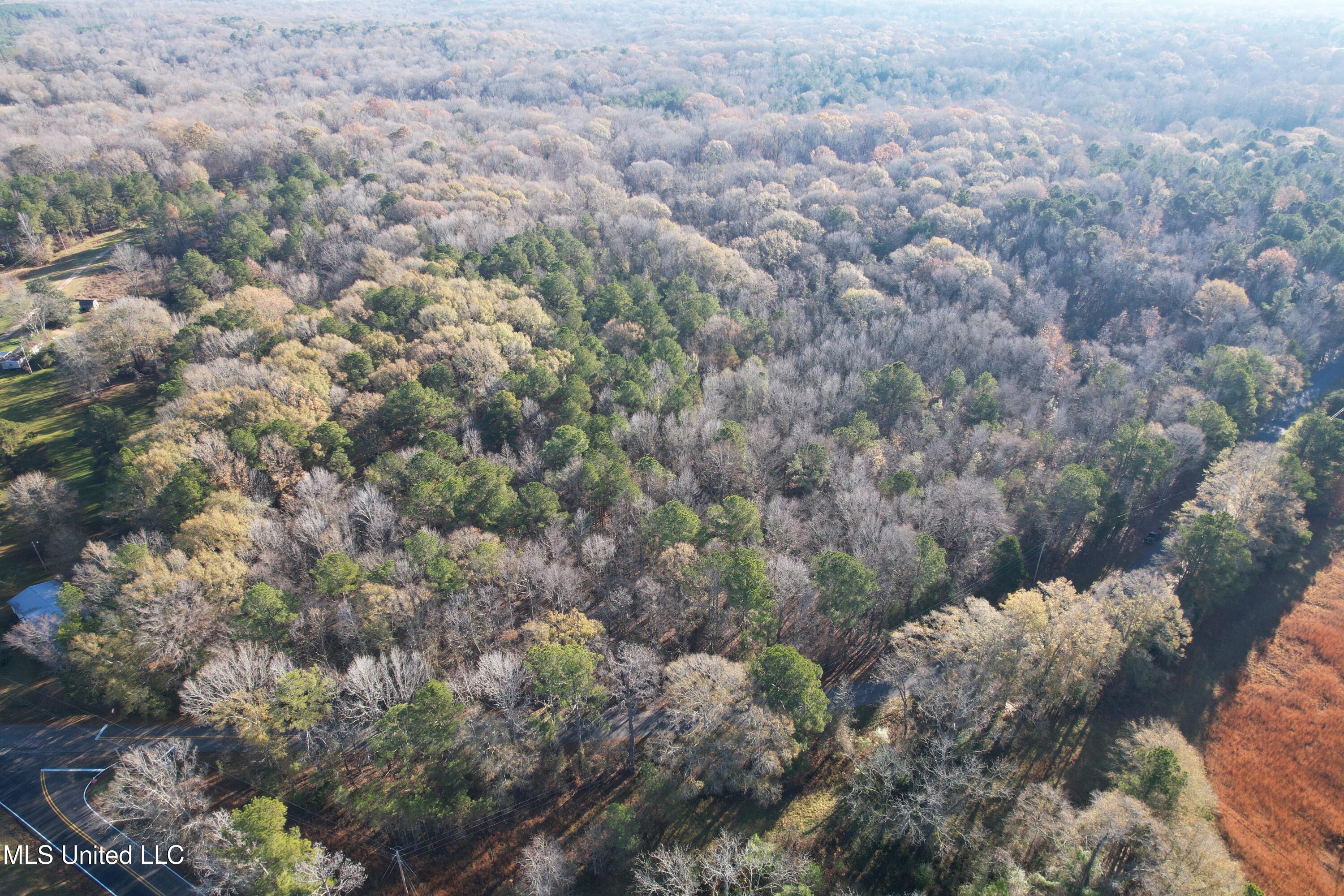 Cox Ferry Road, Flora, Mississippi image 3