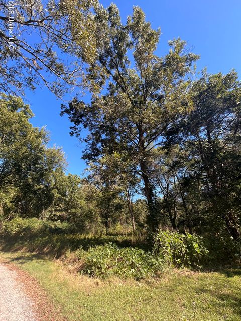 Vacant Land For Sale - Betty Walton Road<br/> Panola County, Como, MS 38619